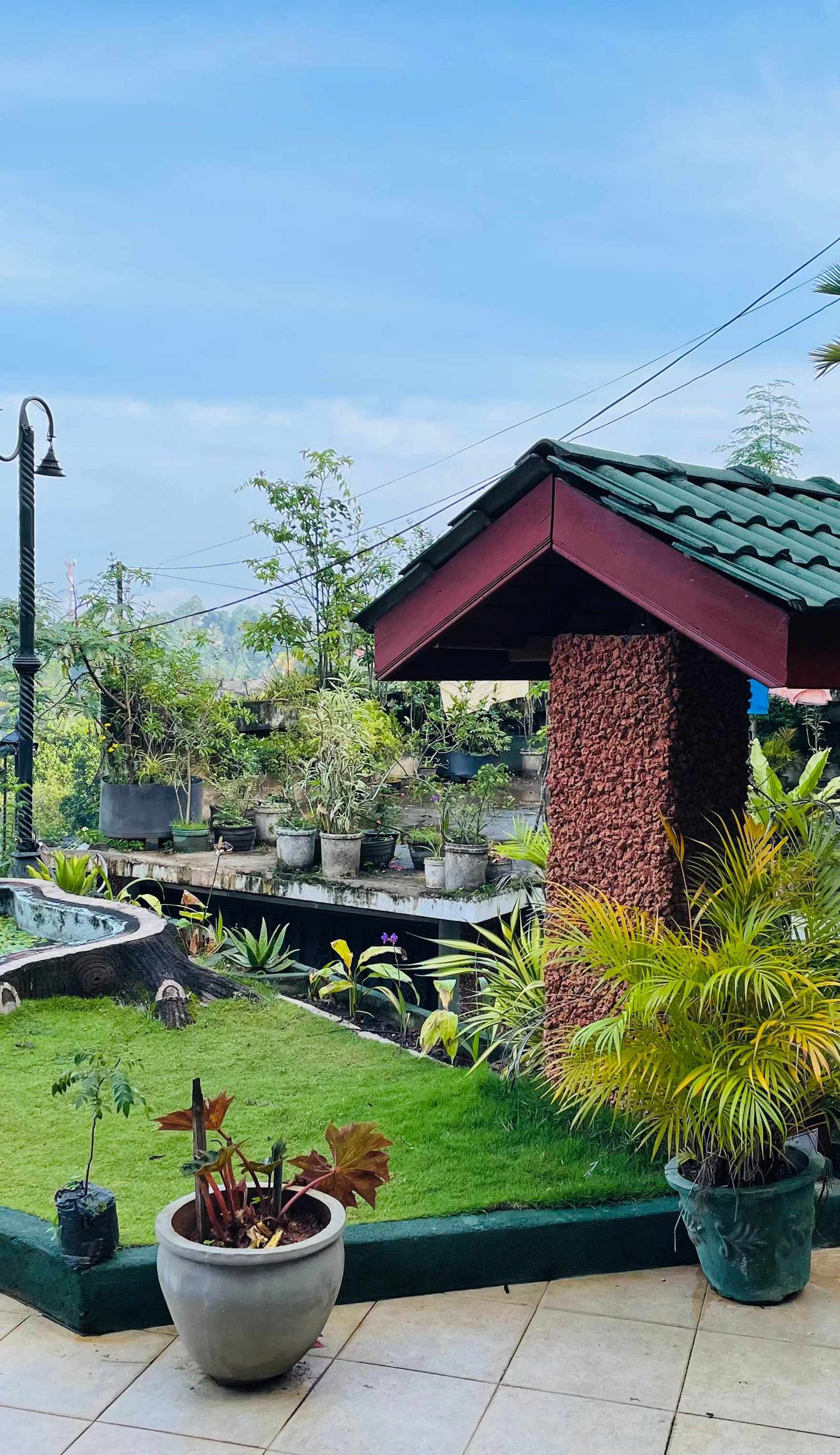中国蒲公英民宿Dandelion Guesthouse