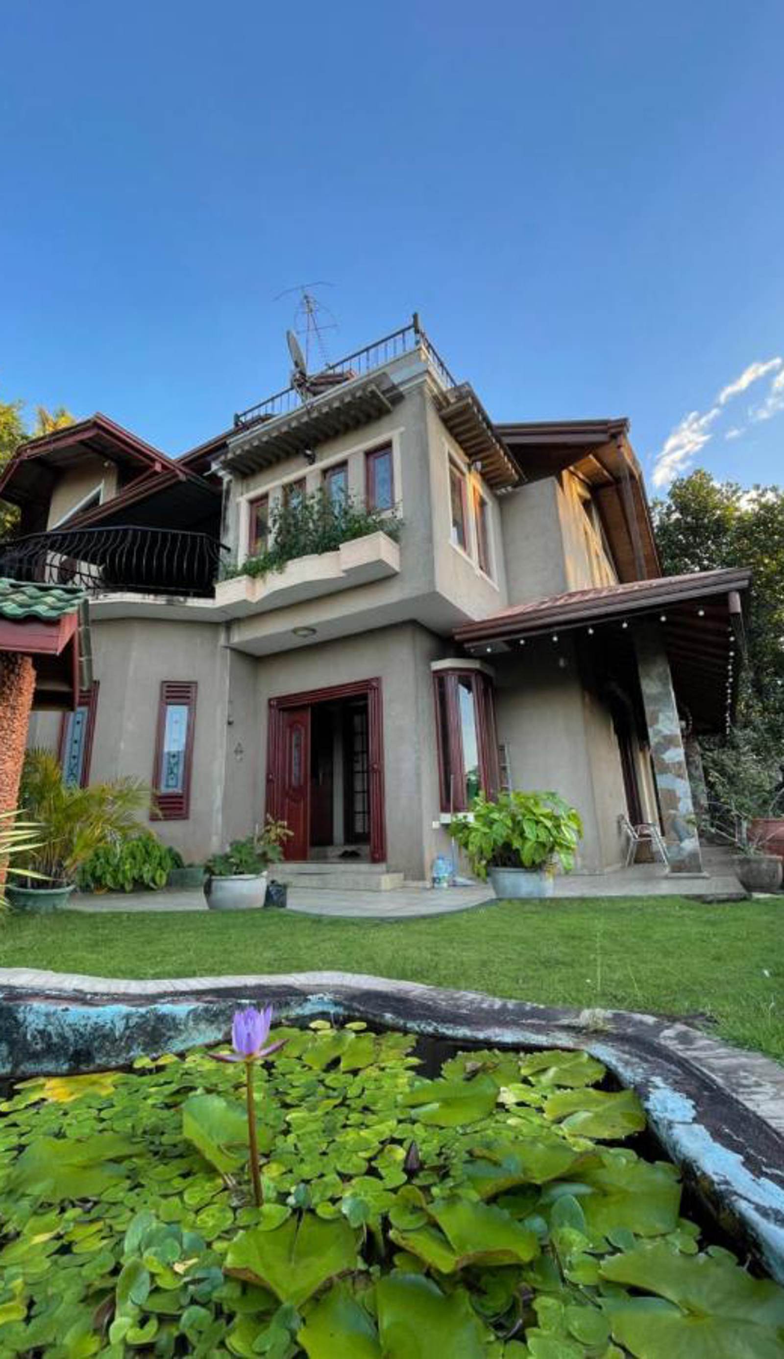 中国蒲公英民宿Dandelion Guesthouse