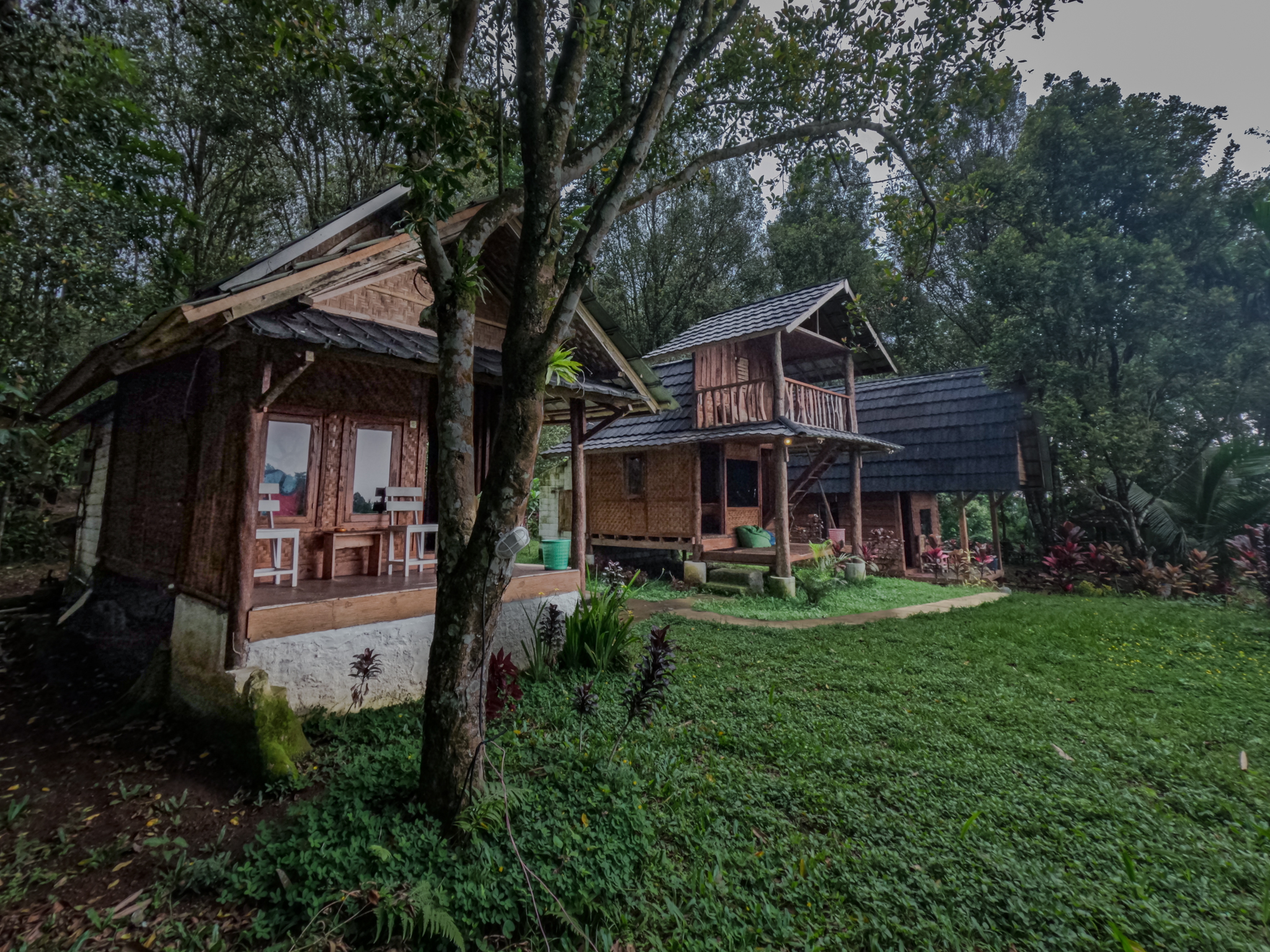 Tetebatu Jungle Vibes