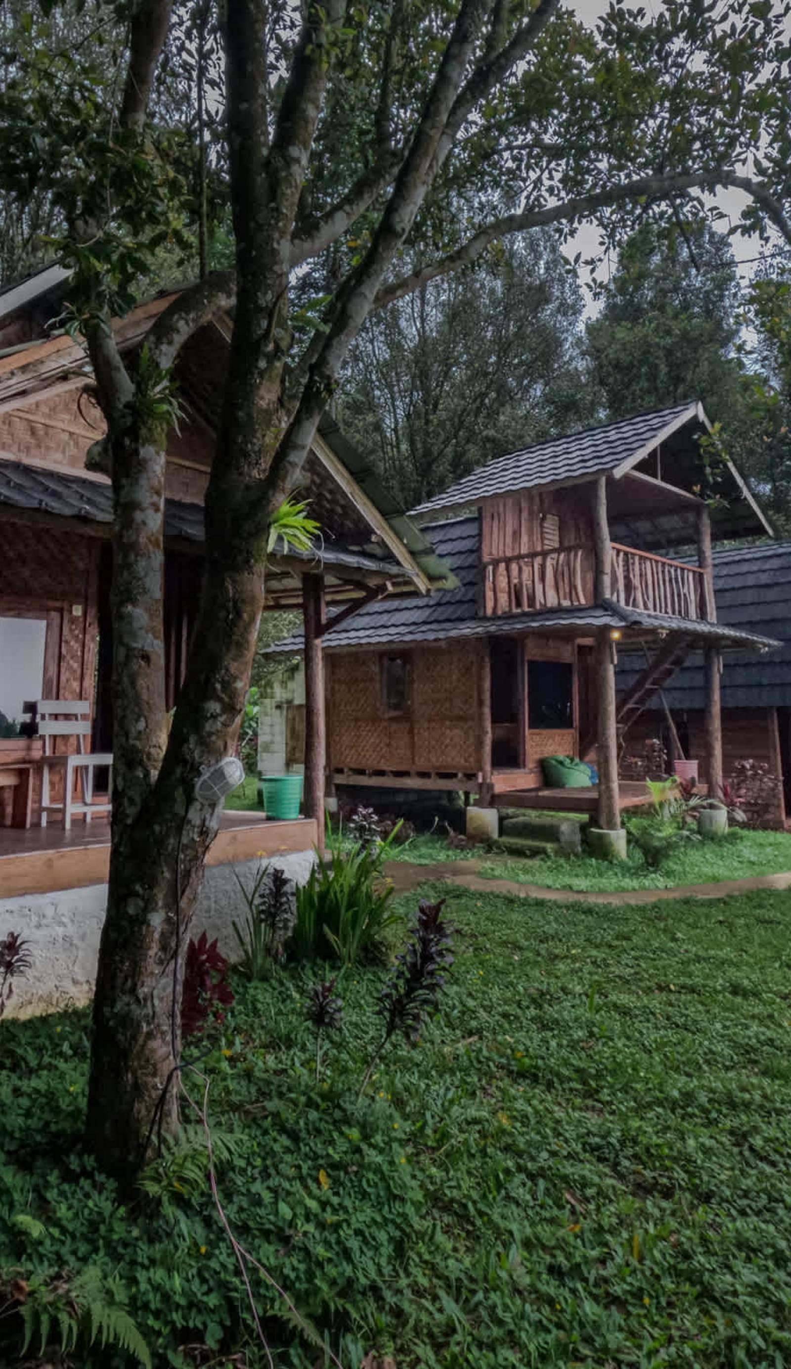 Tetebatu Jungle Vibes