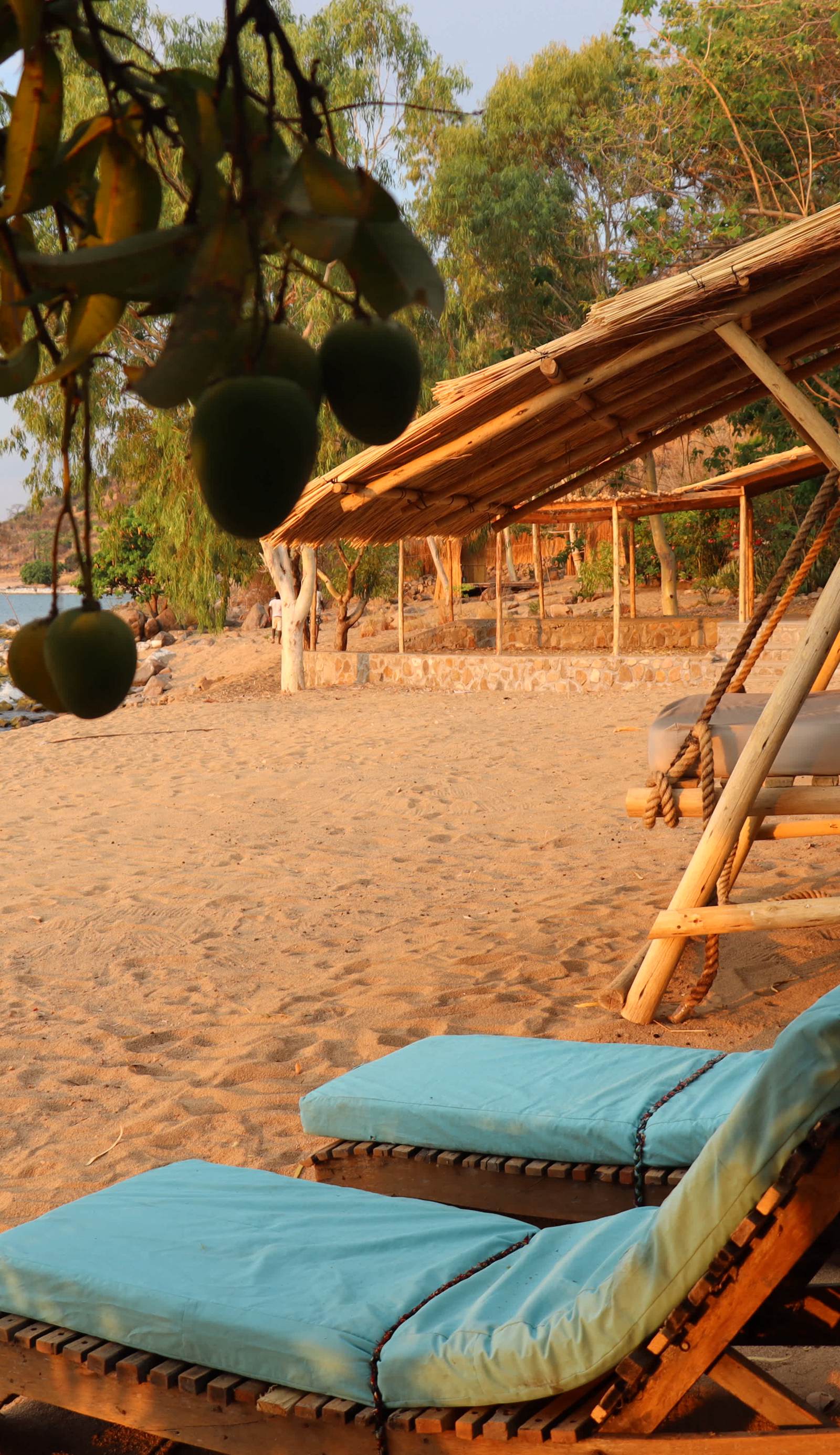 Mango Drift Lodge