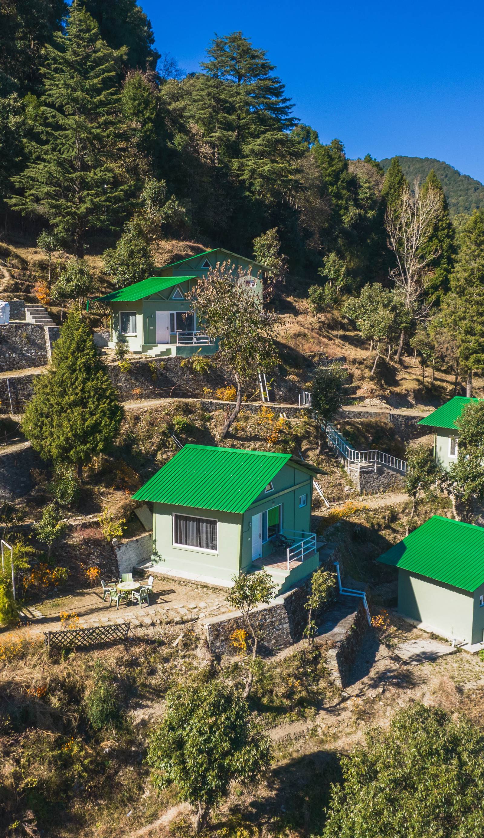 Zostel Plus Nainital (Naina Range)