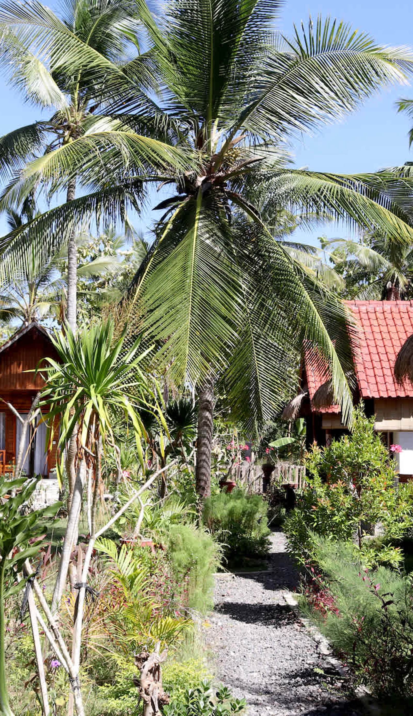 Dangin Kubu Bungalow
