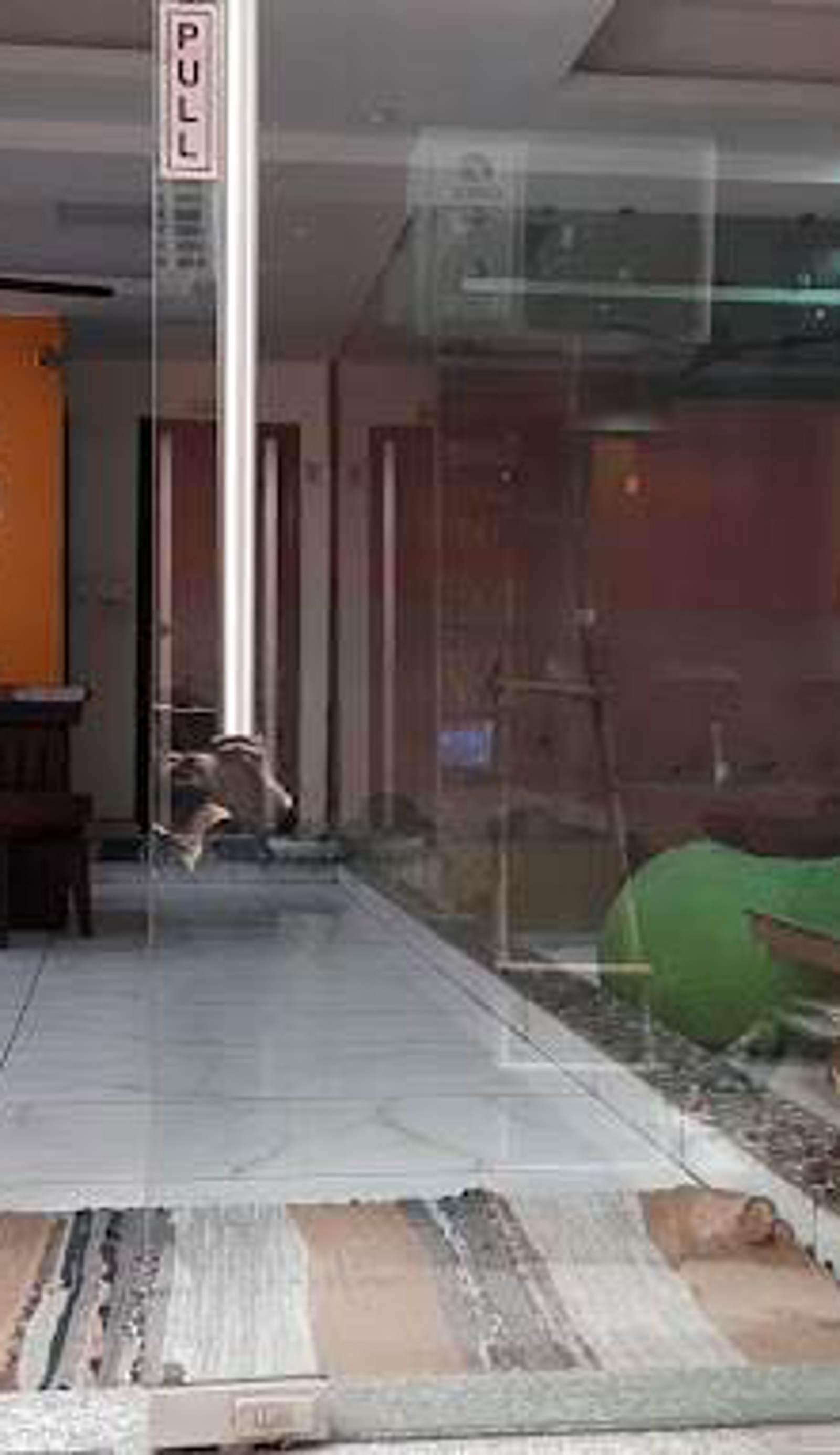 Hostel Himalayan