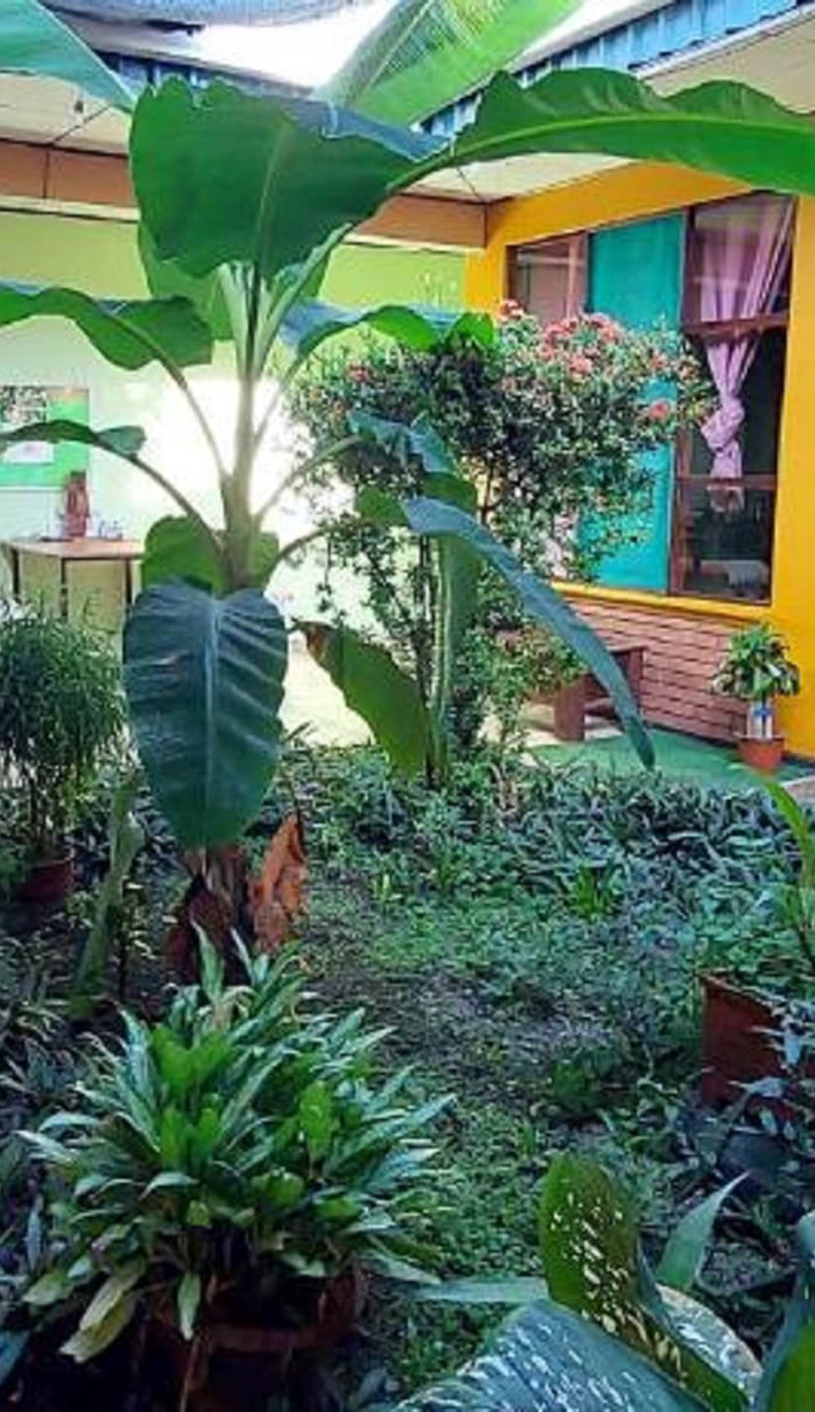 Hospedaje Doña Koko