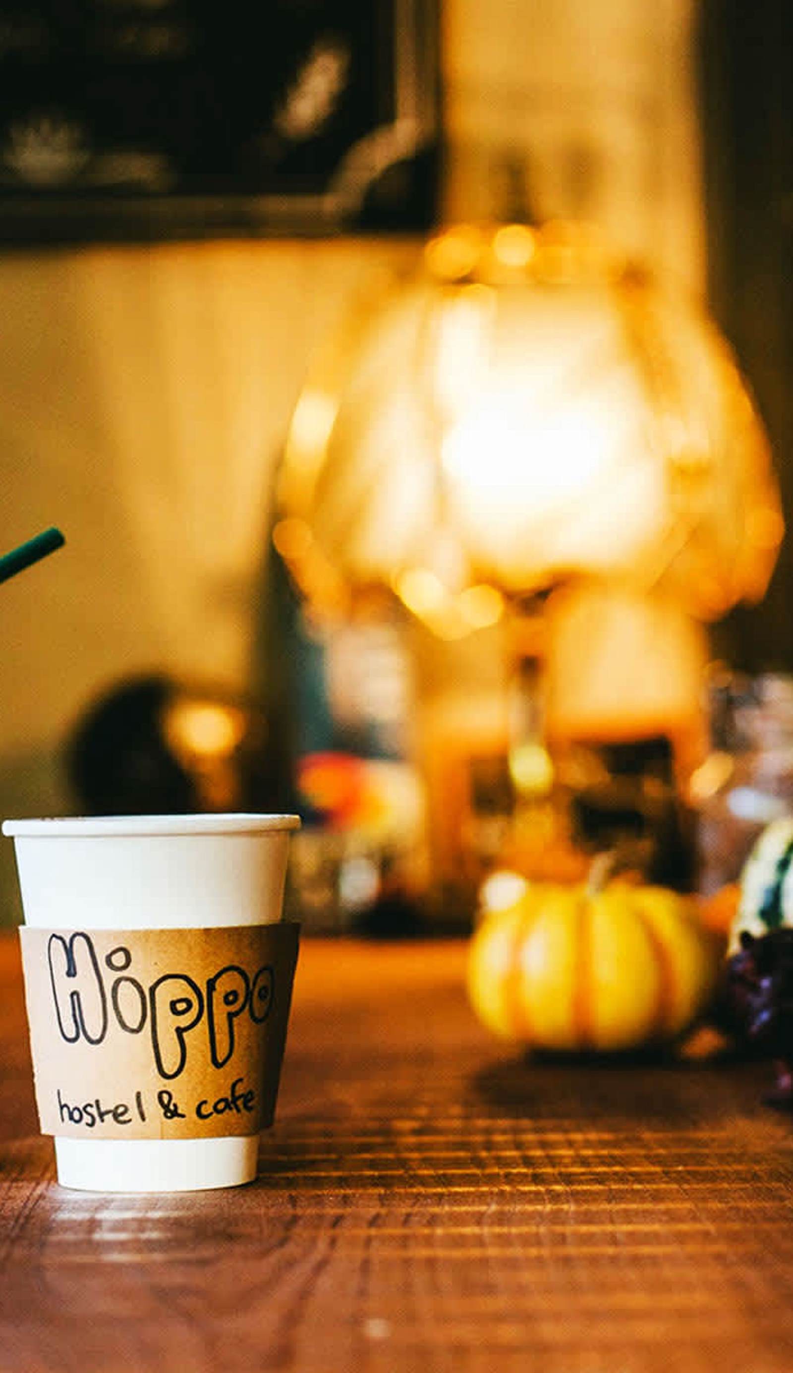 HIPPO Hostel & Cafe Bar