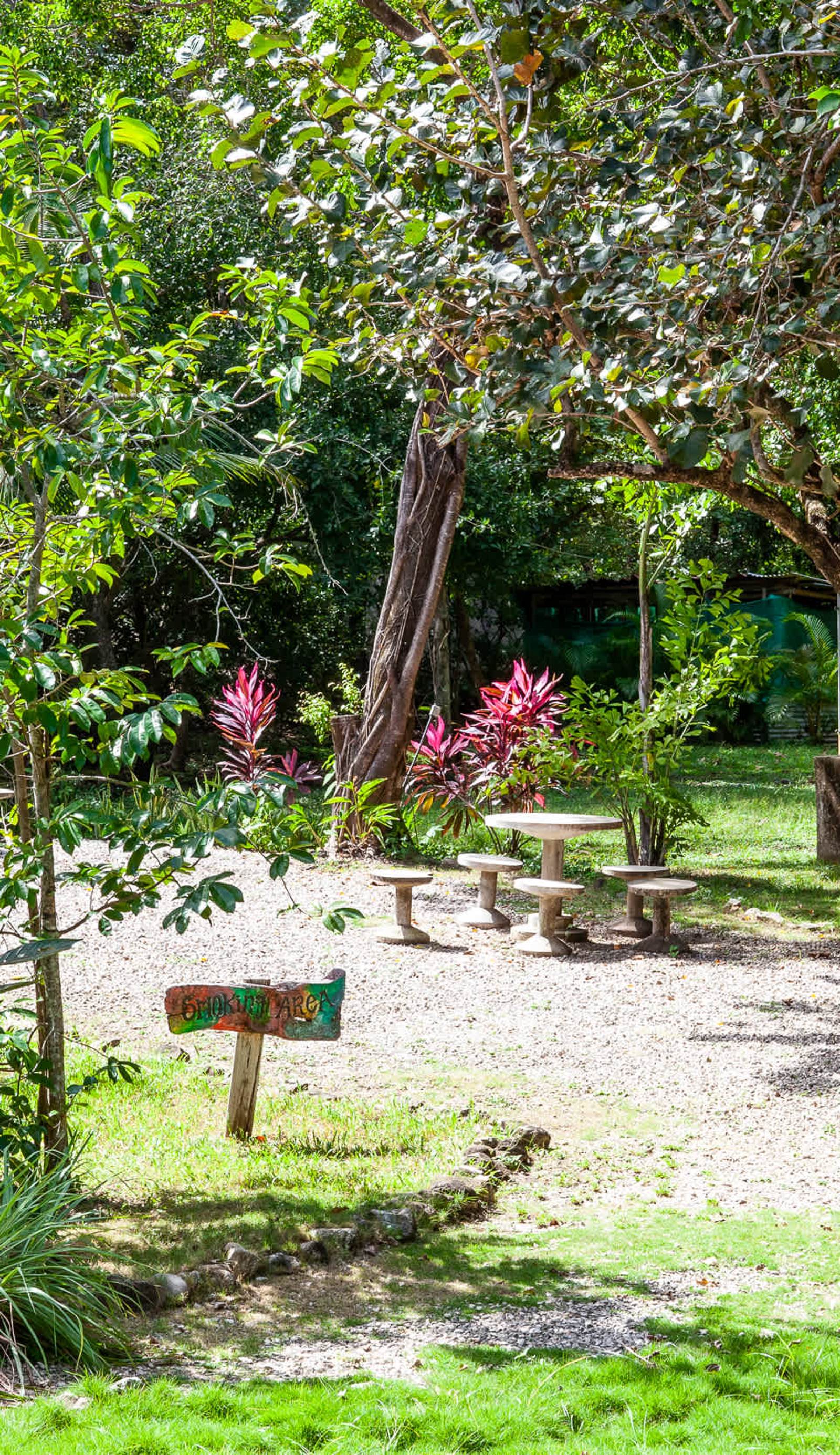 Nosara Hostel Costa Rica