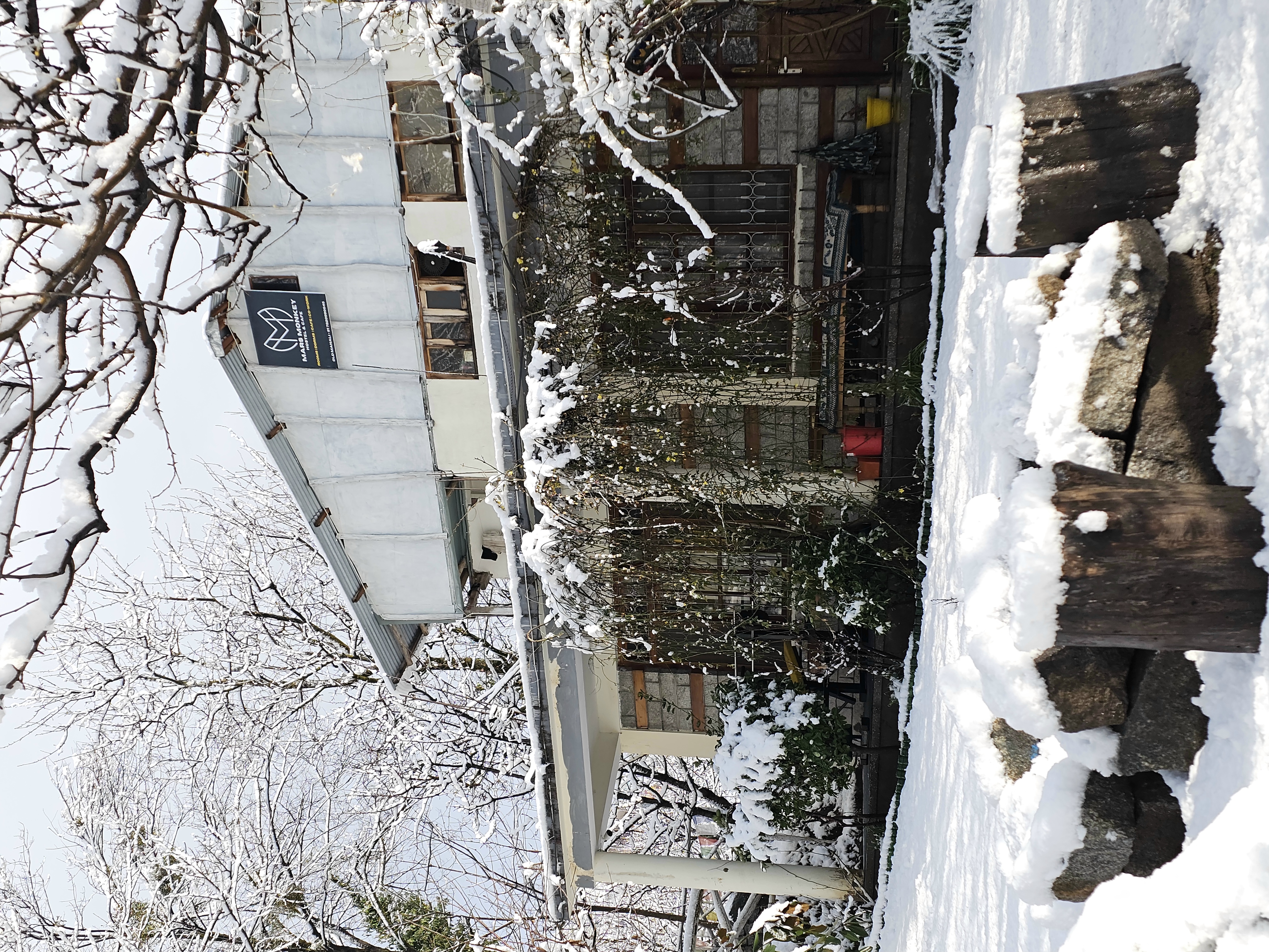 Mars Monkey Hostel and Cafe