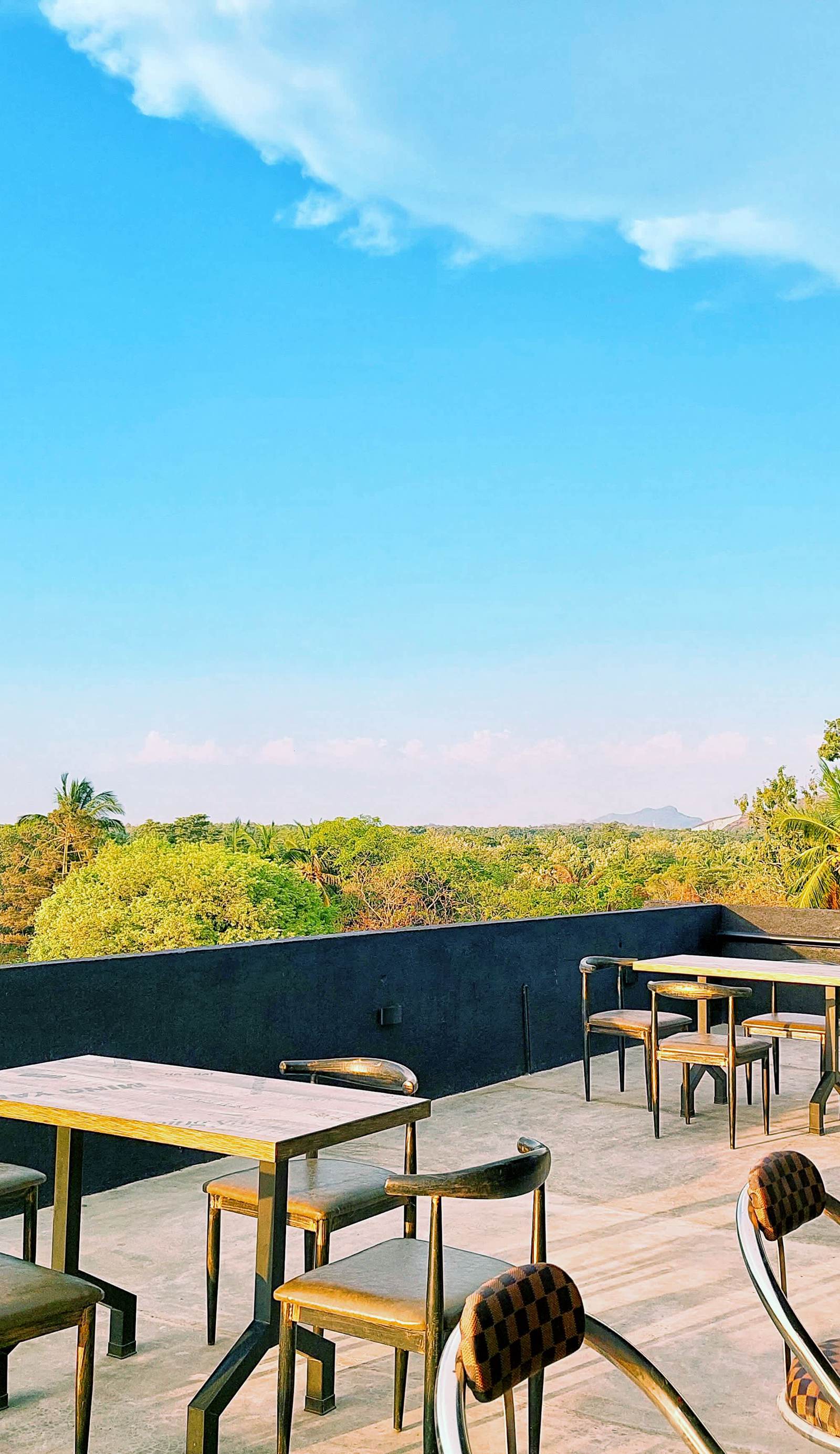 Catch Up Dambulla