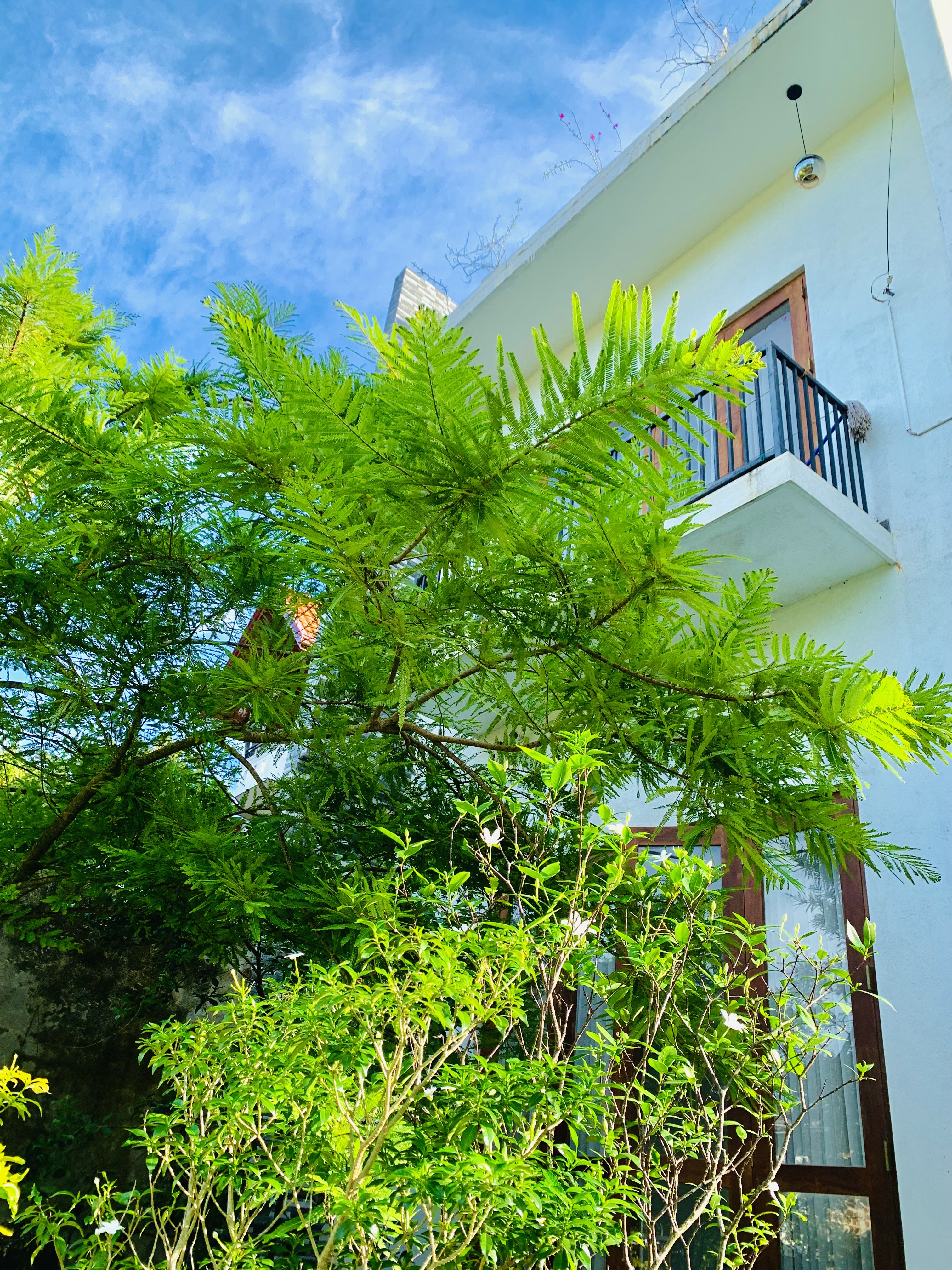 Jungle City Hostel