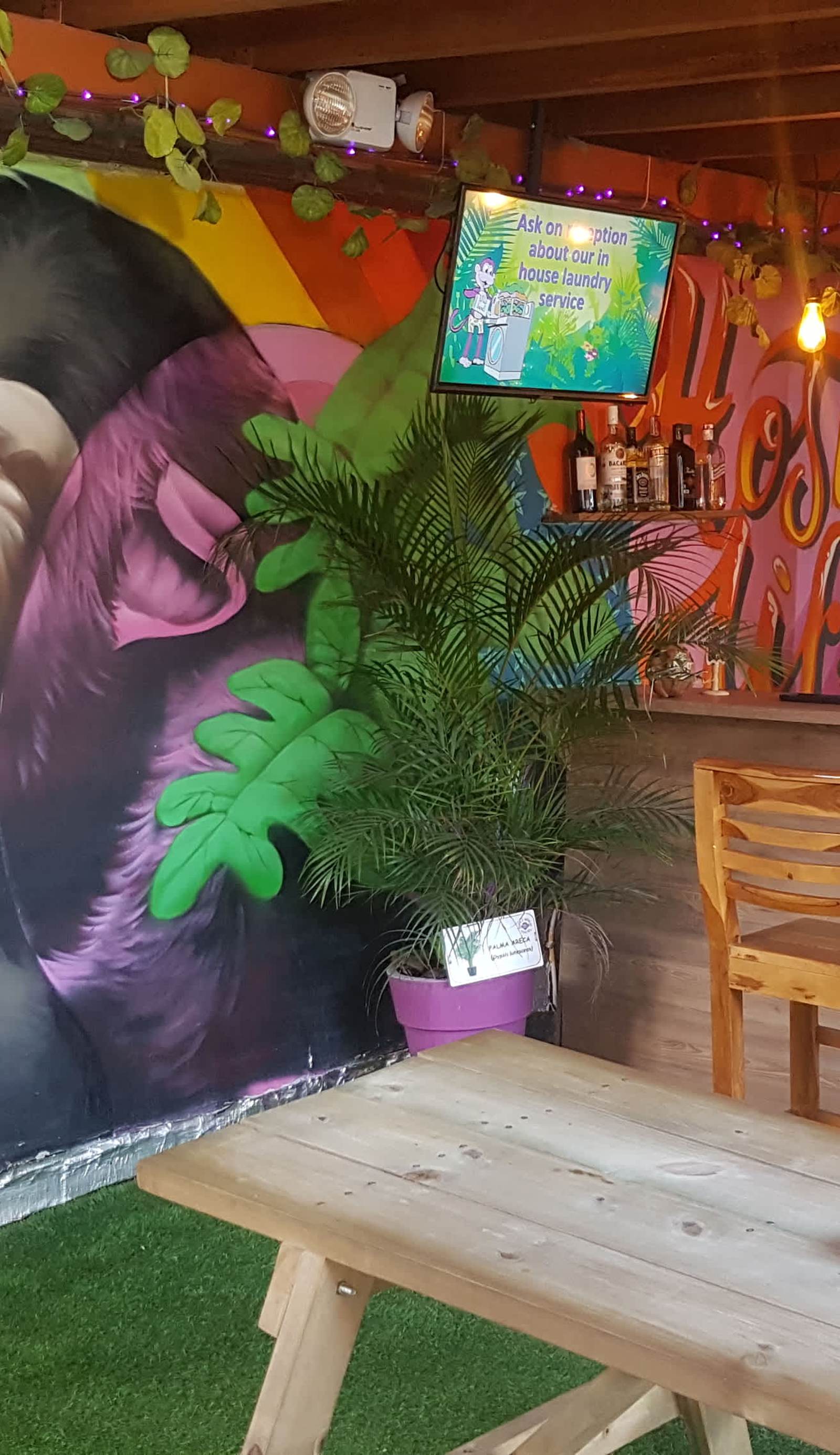 Purple Monkey Hostel