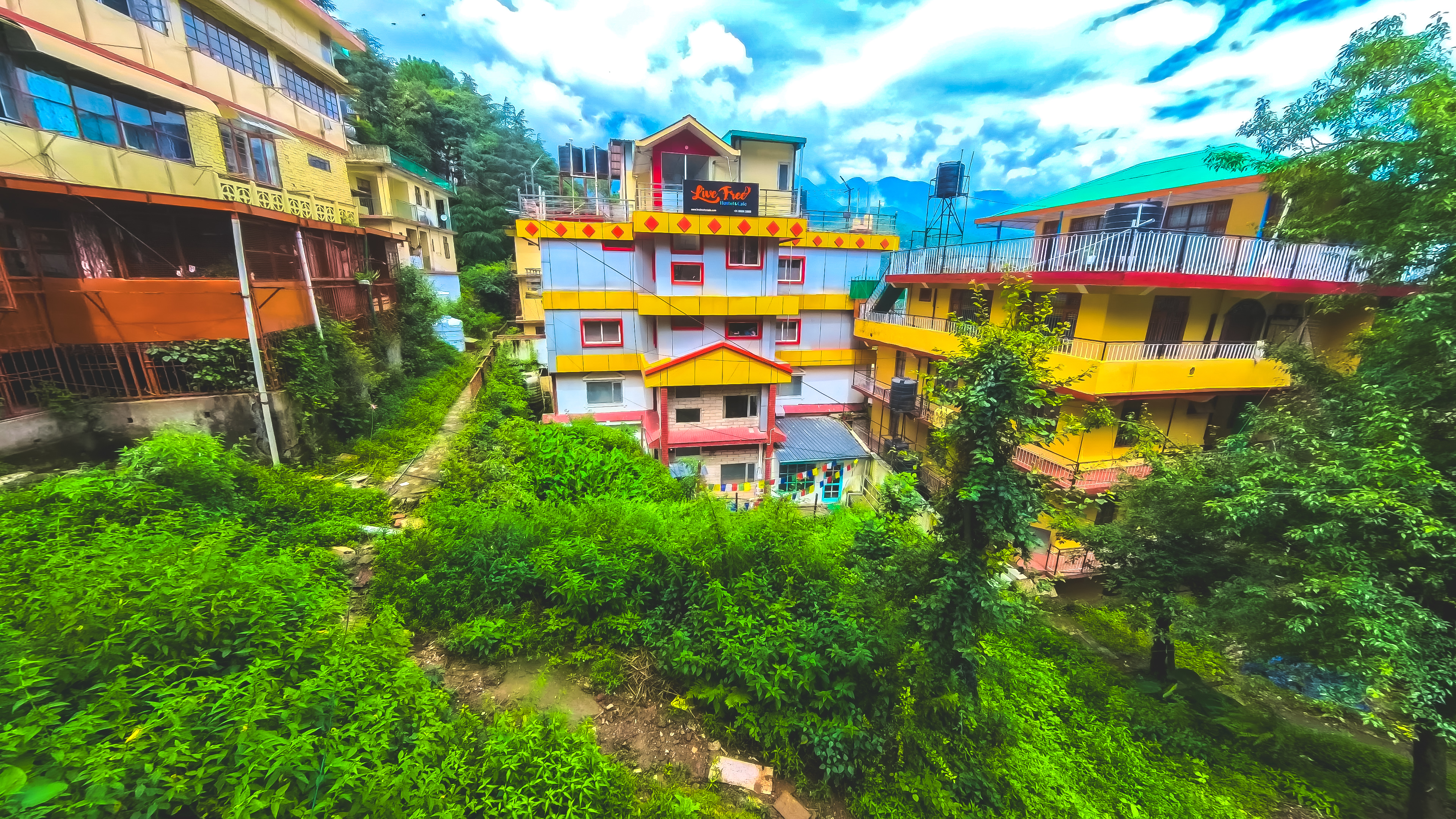 Live Free Hostel