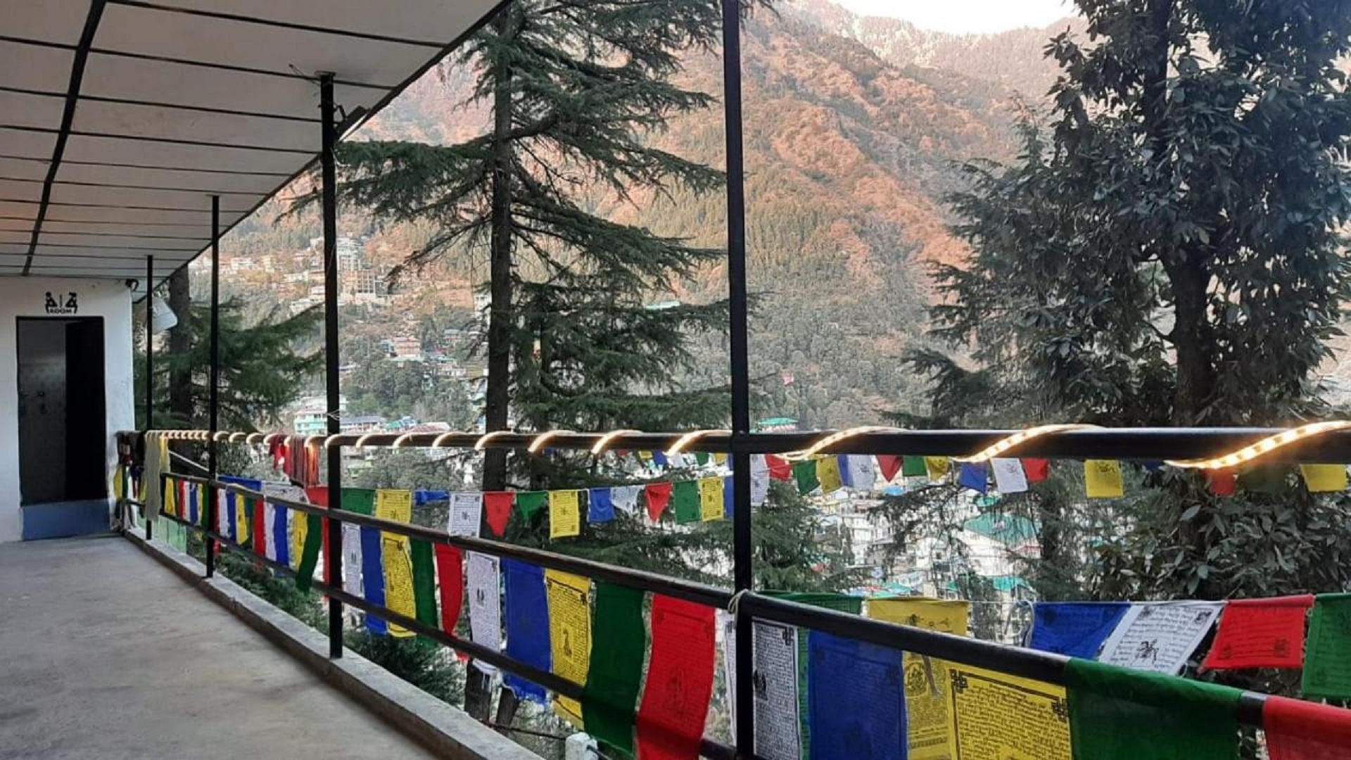 Thrillomania Mcleodganj