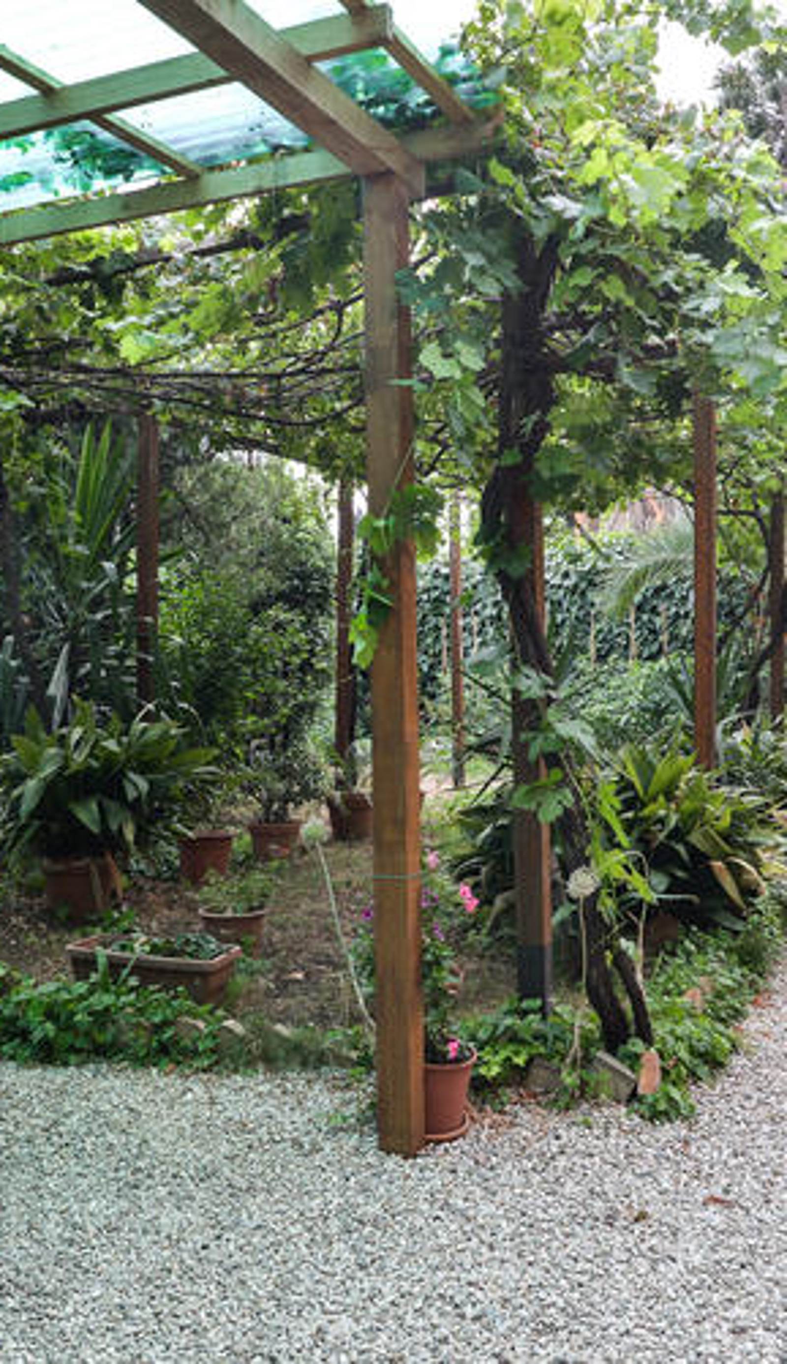 Hostel Lodi