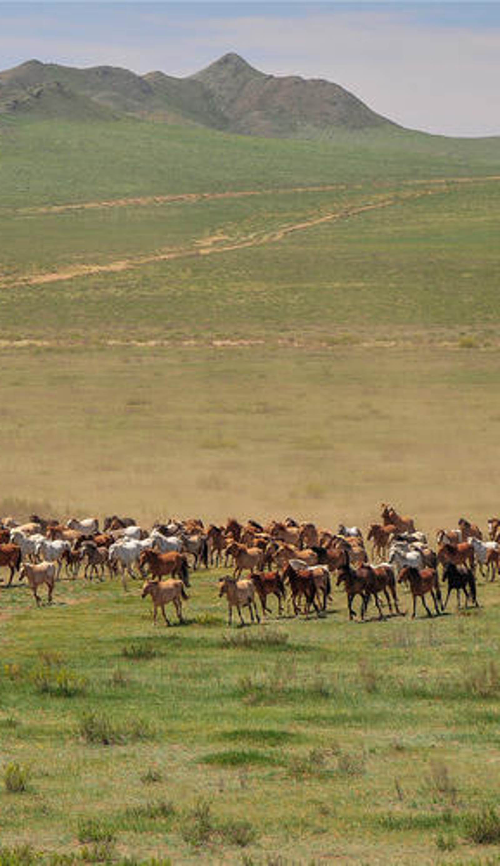 Sunpath Mongolia