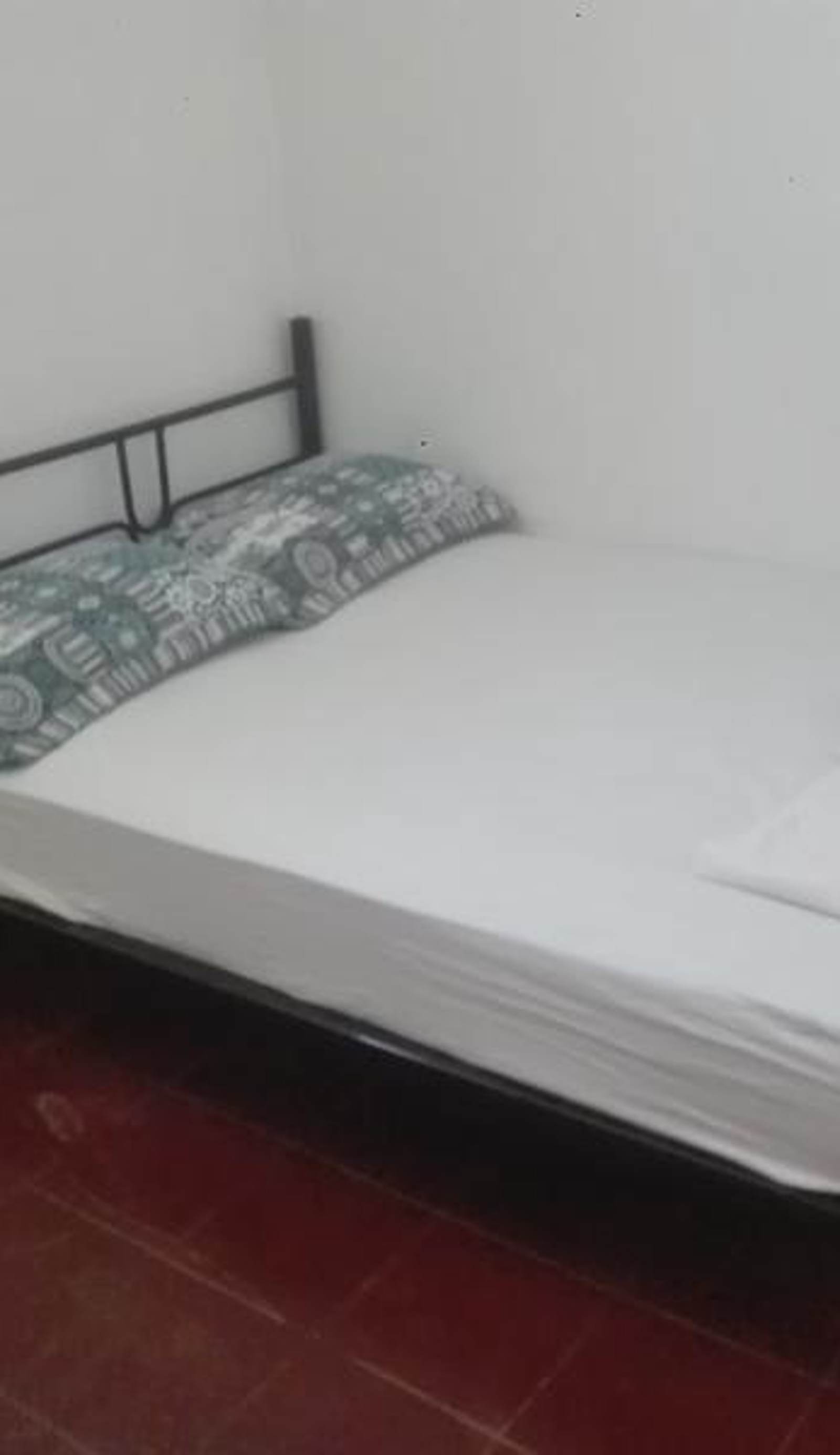Hostel Papagayo