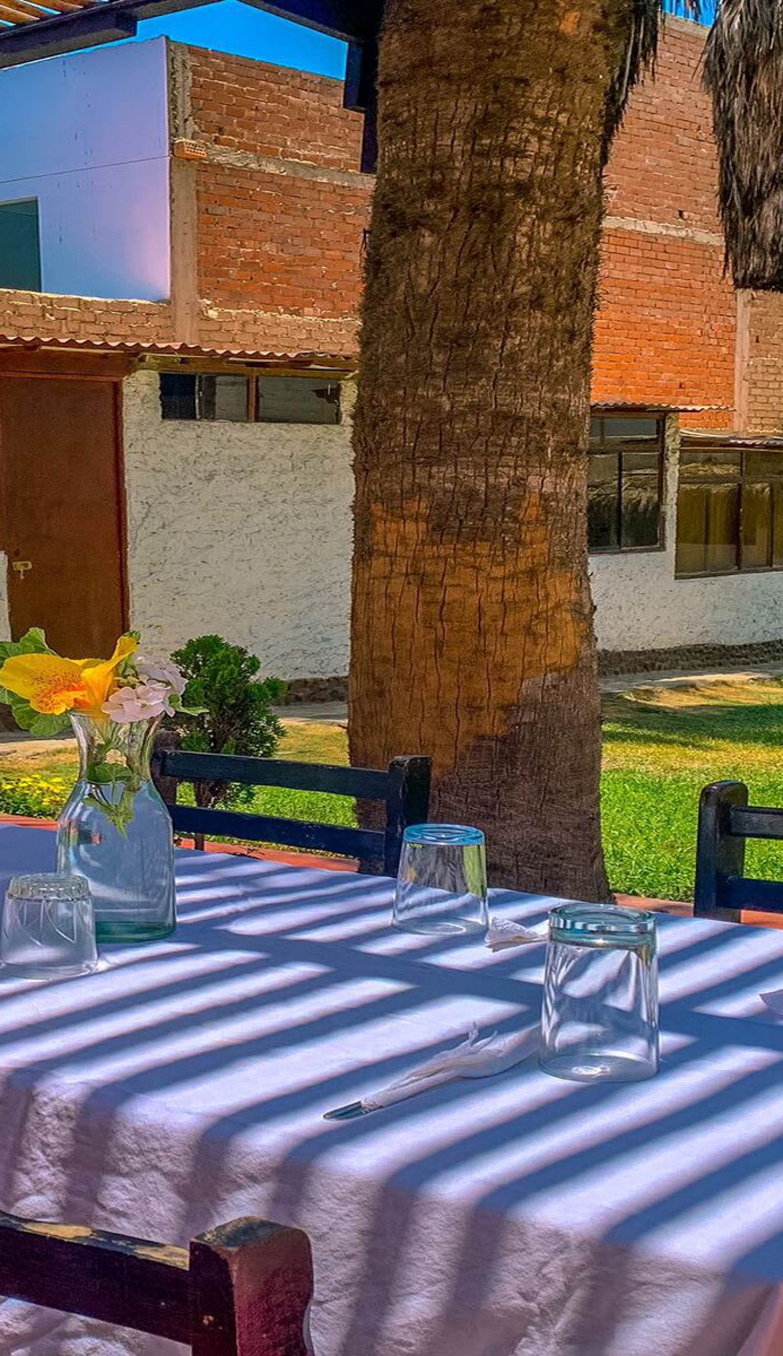 Casa Camelias
