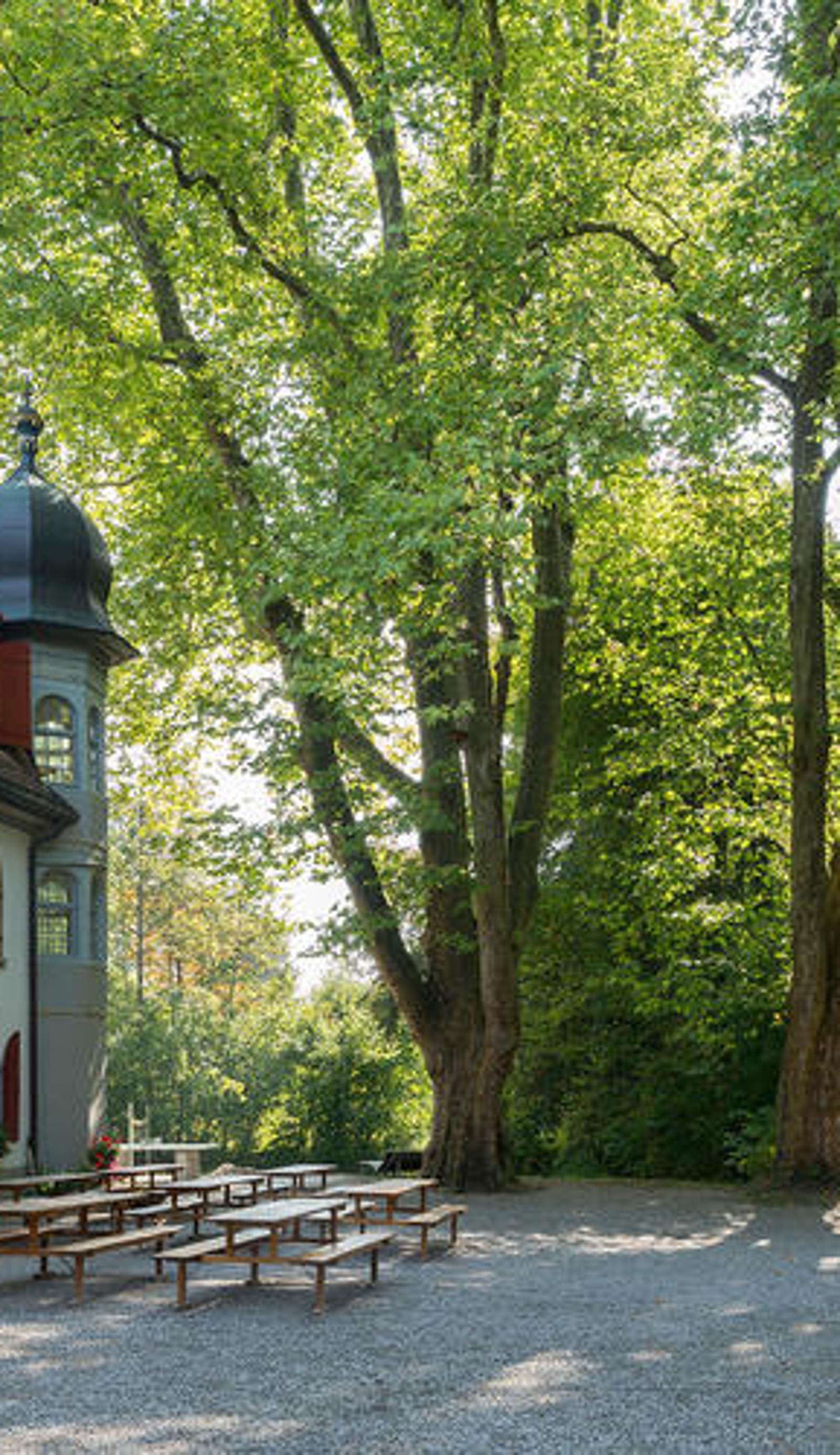 Schaffhausen Youth Hostel