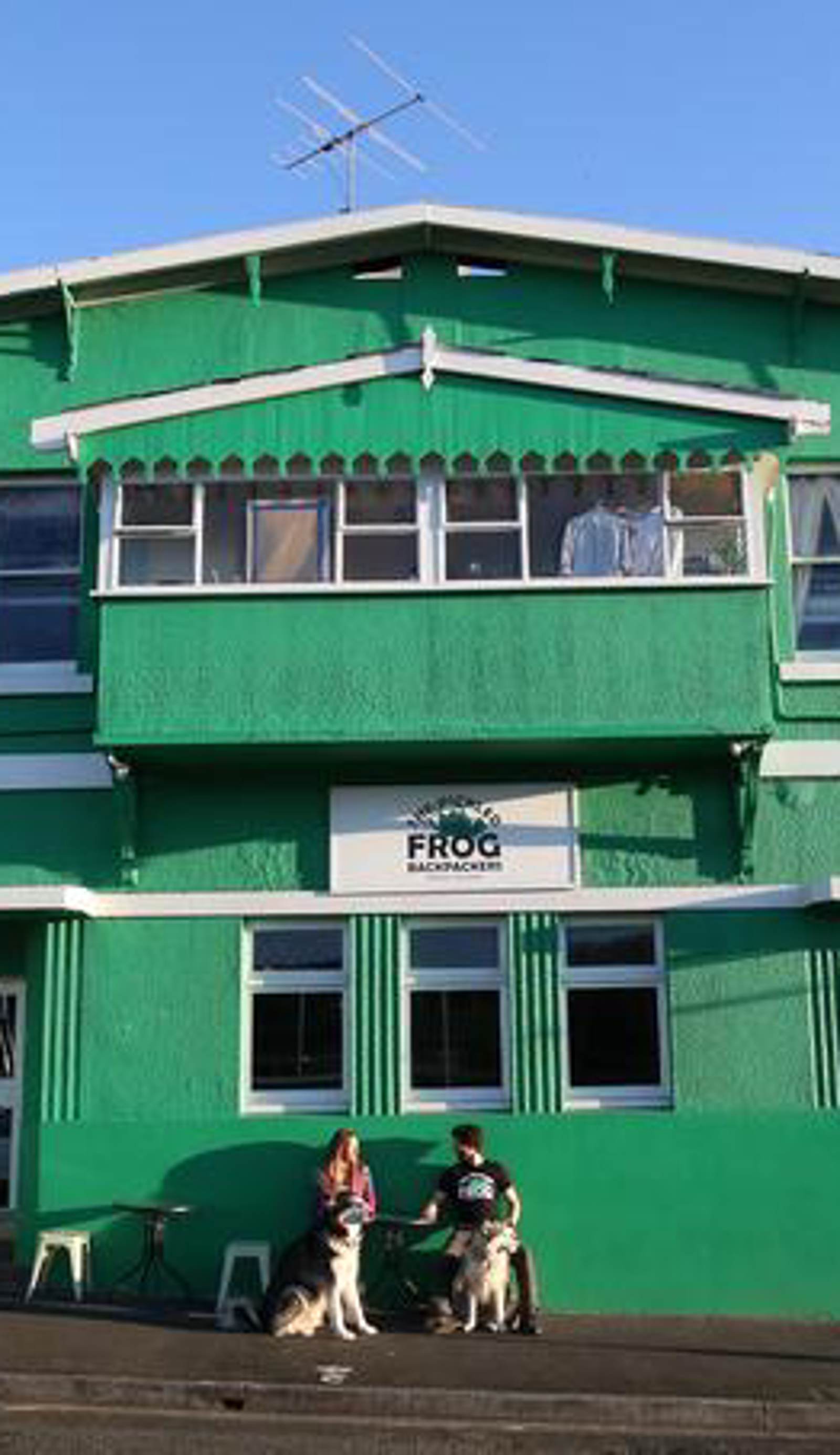 The Pickled Frog