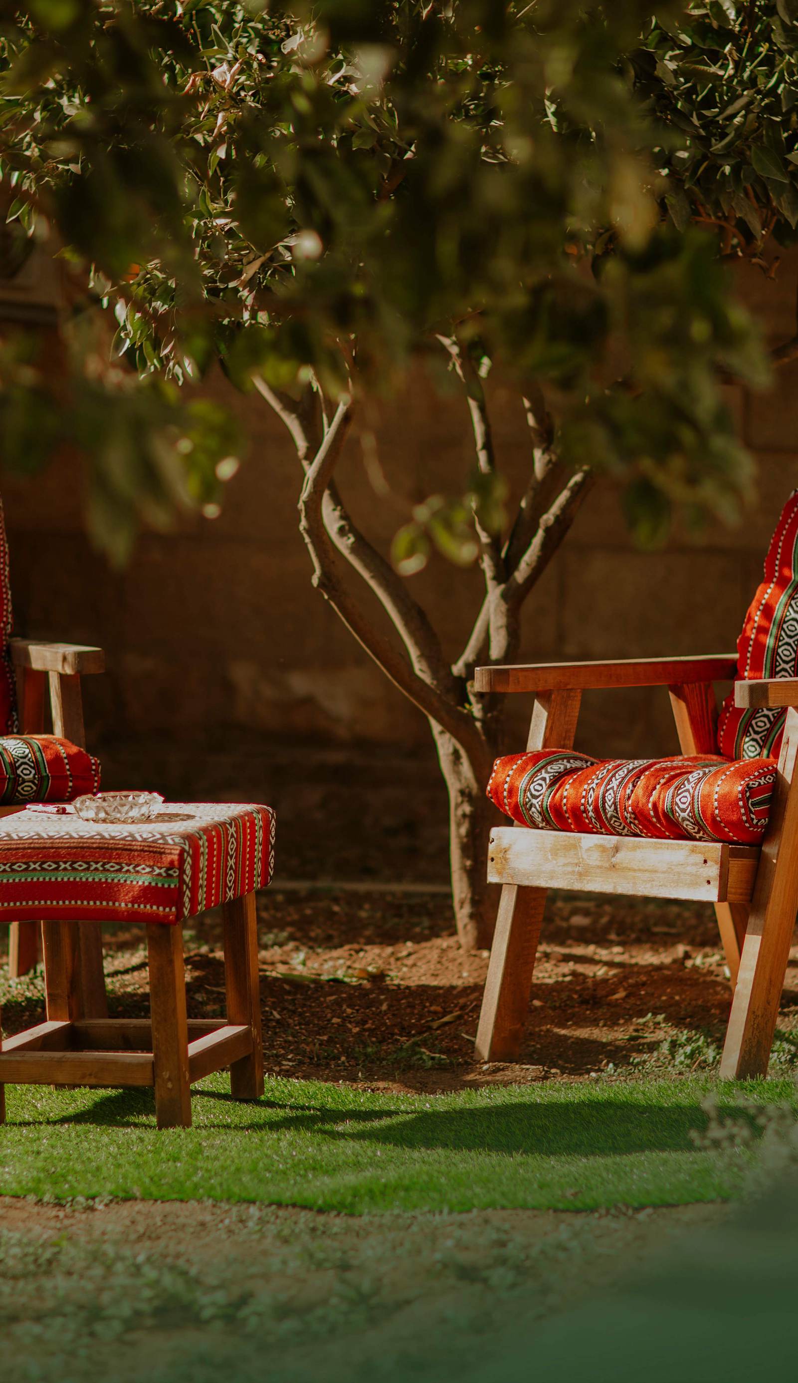 Olive Tree Hostel