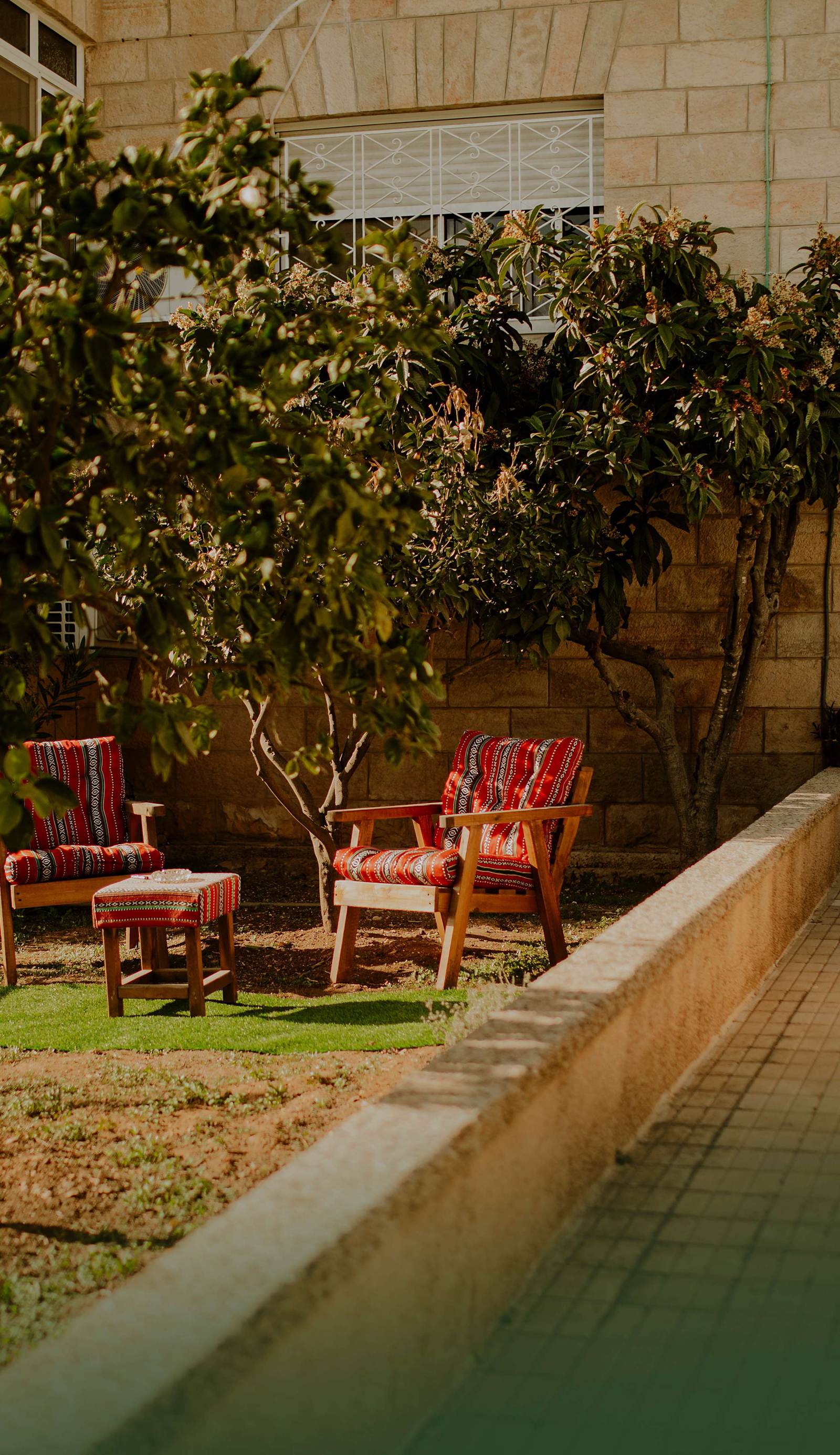 Olive Tree Hostel