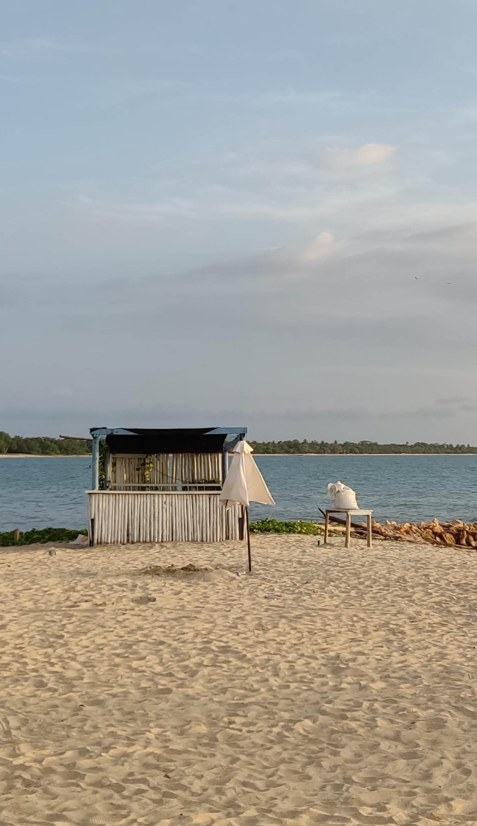 Bamboodas B & B