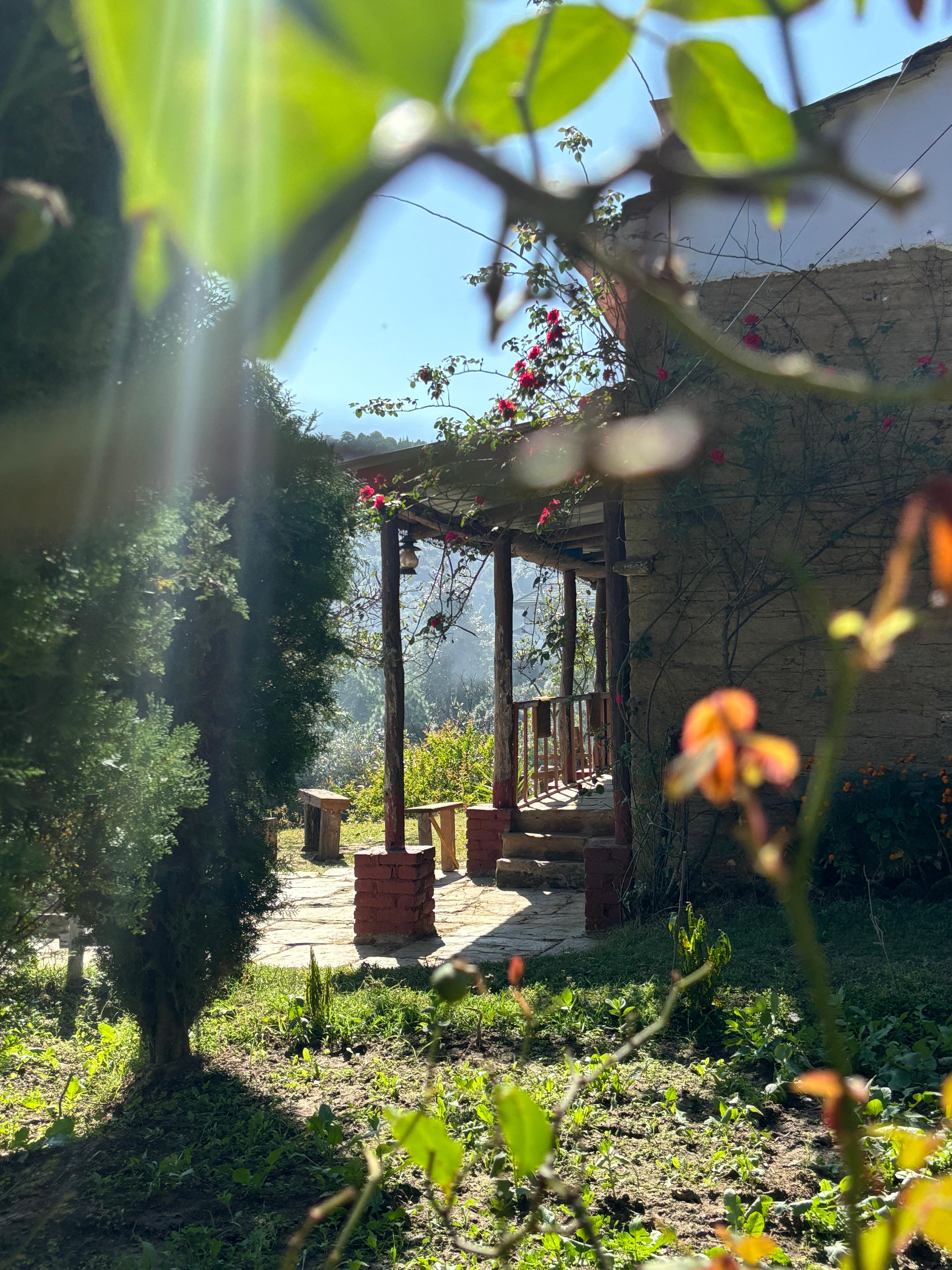 Maati Living Mukteshwar