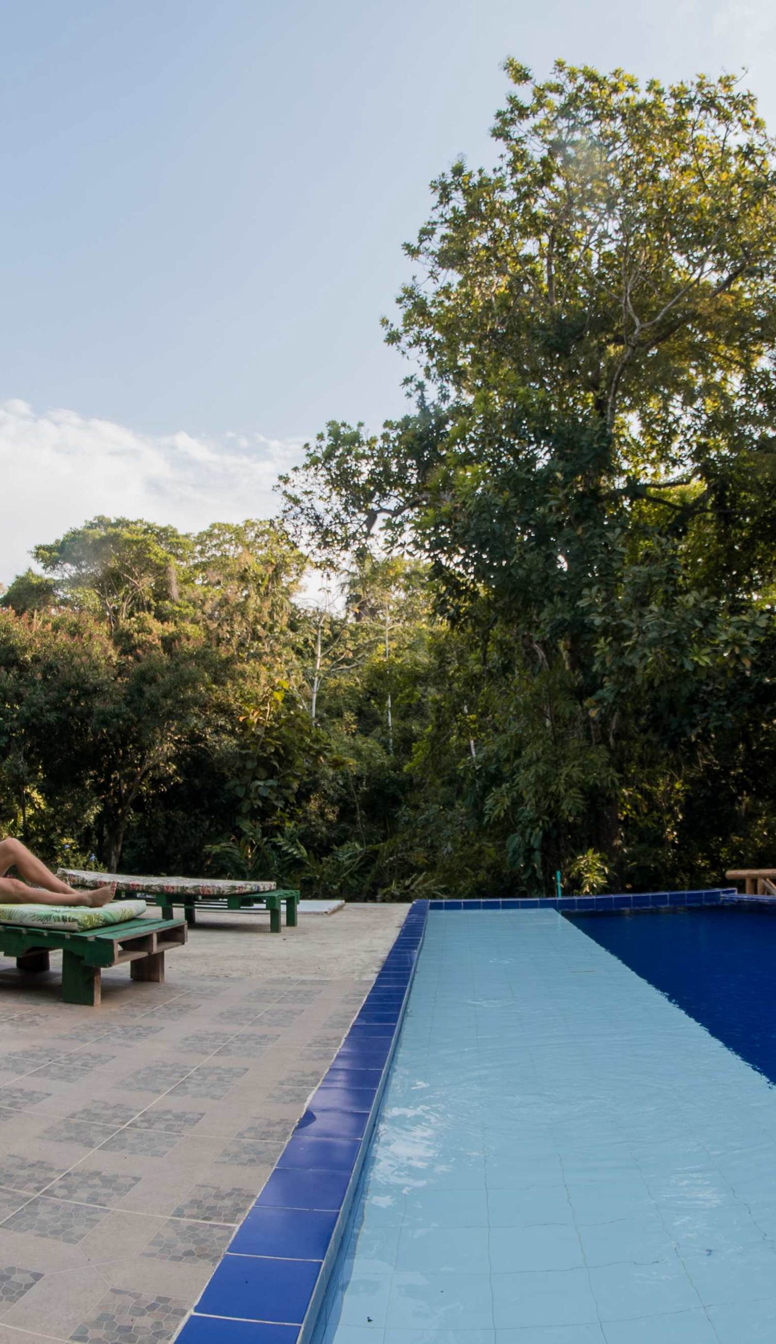 Entre Bosques Tayrona Posada Hostel