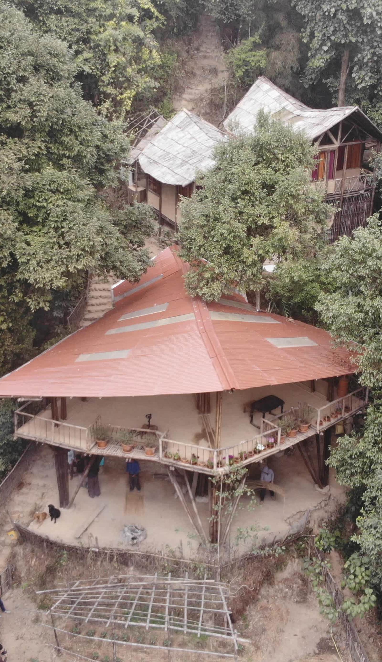 Tieedi Forest Garden