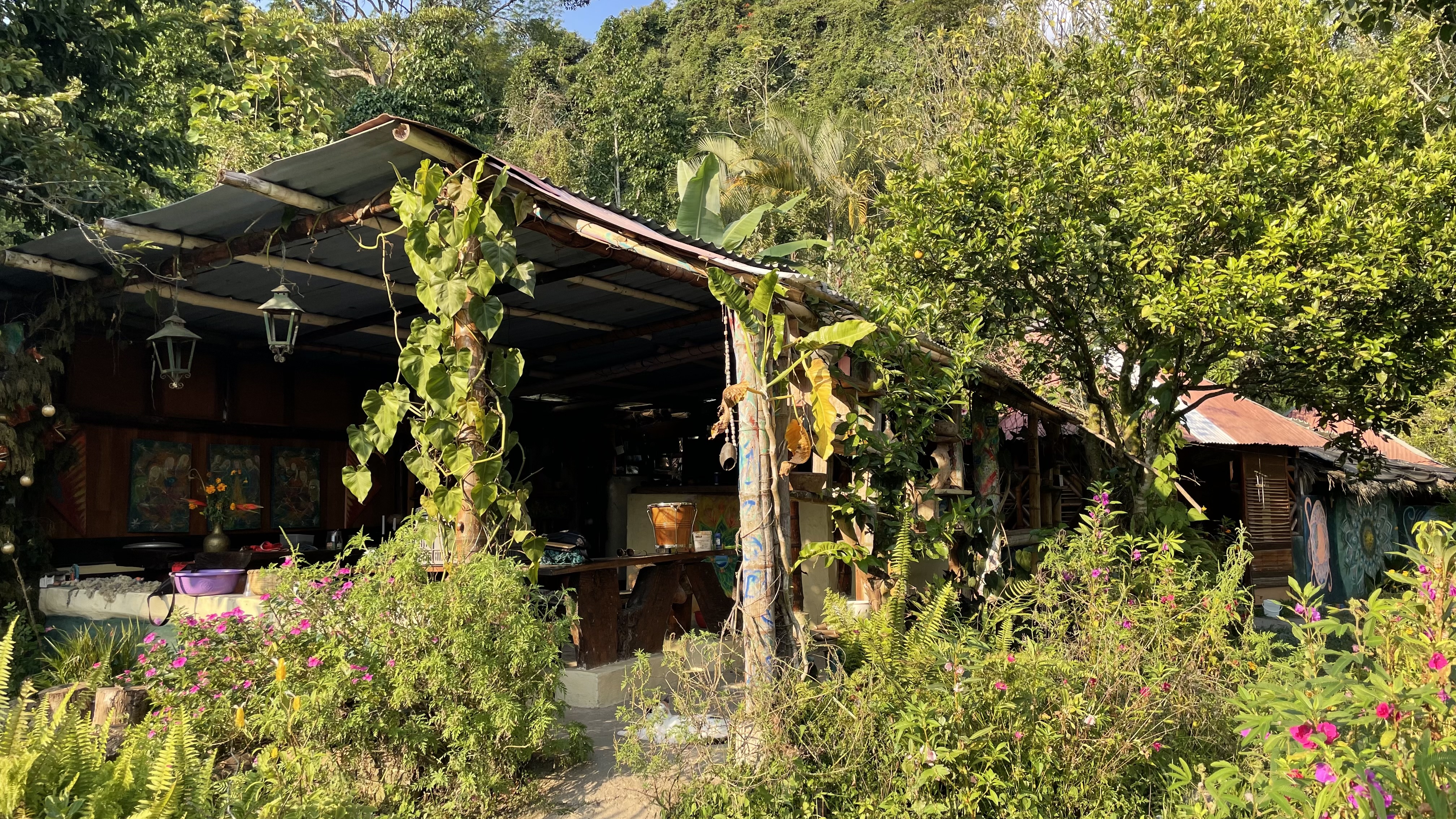 Tropical Biohostel