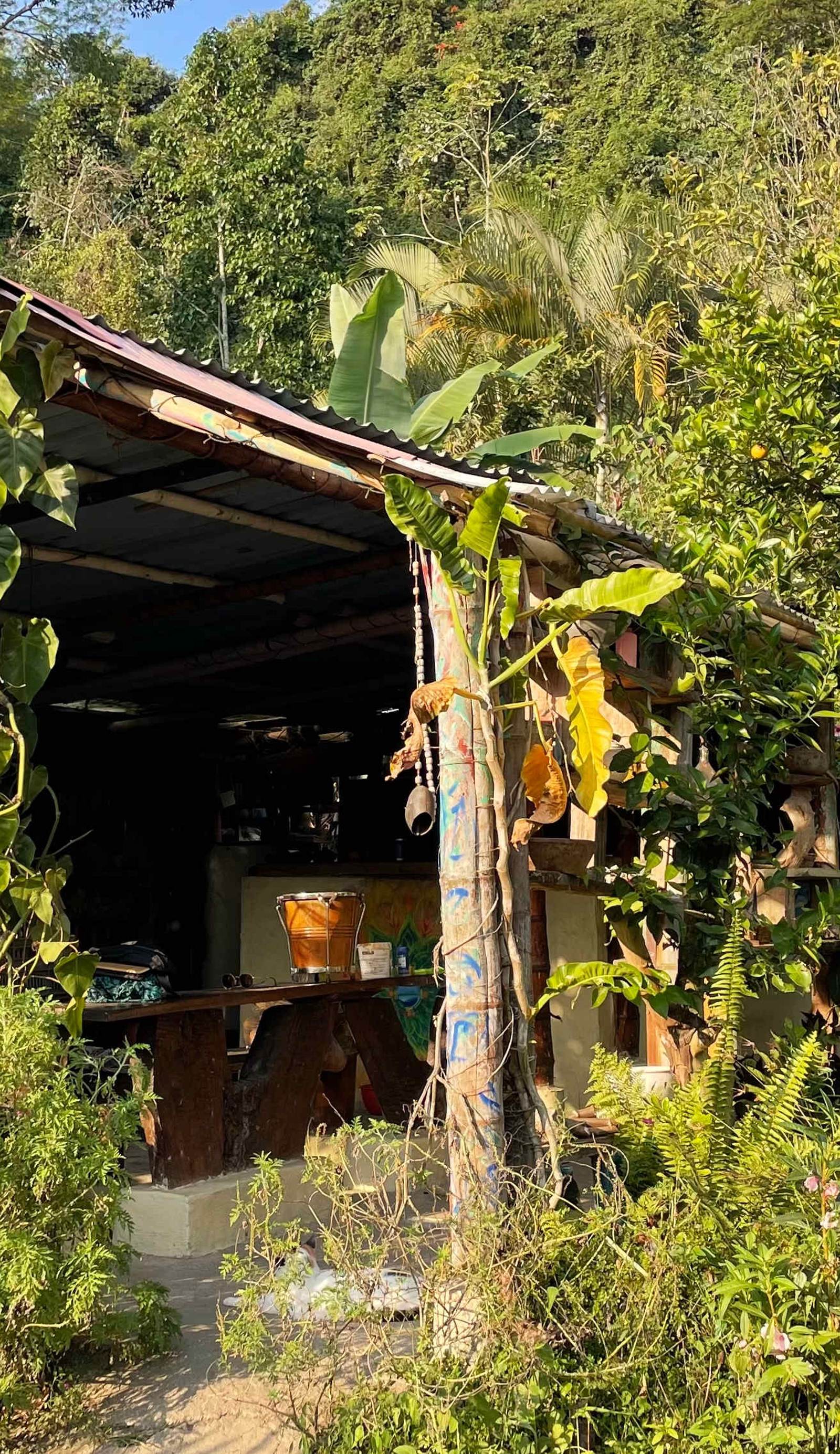 Tropical Biohostel