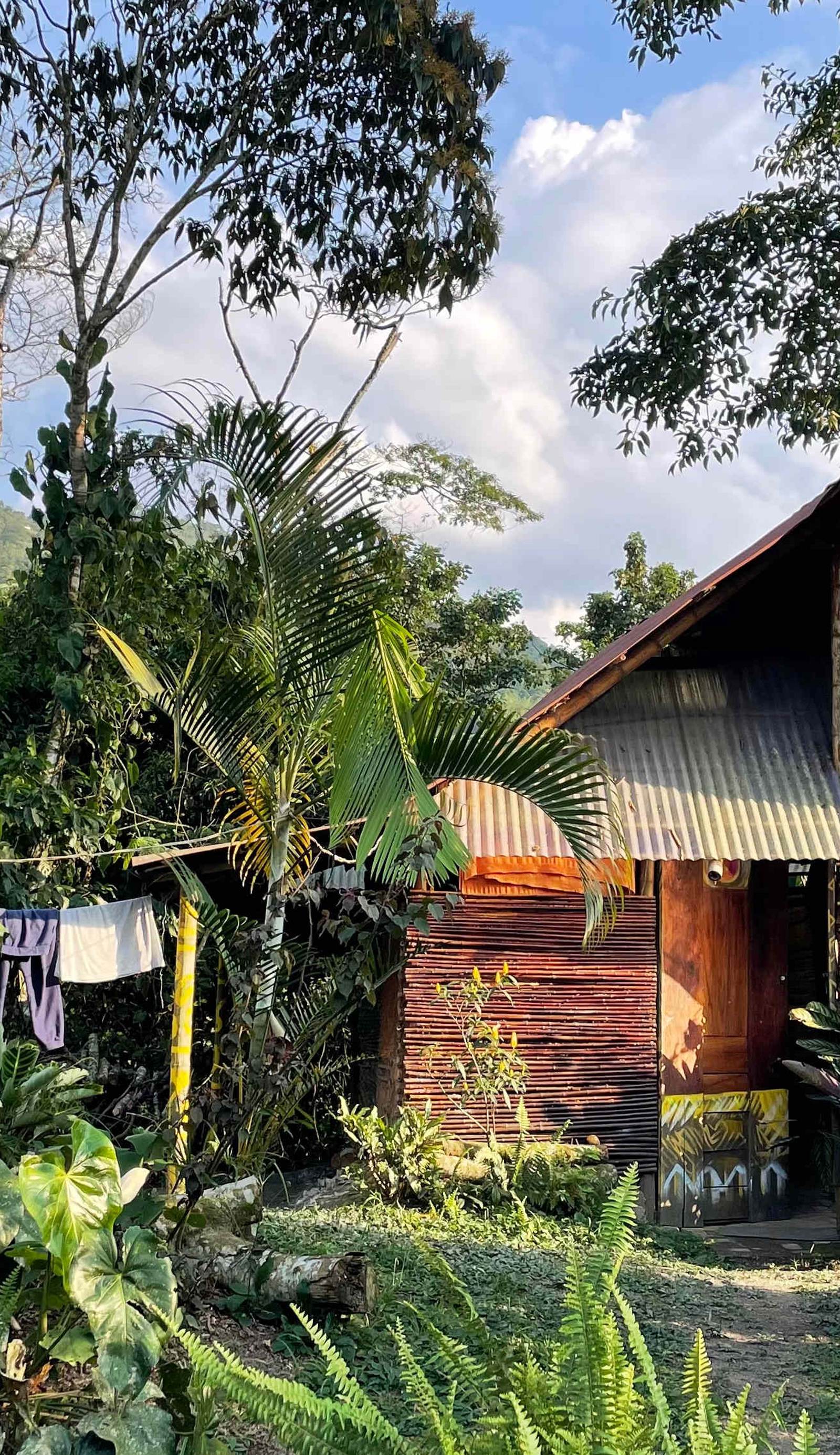 Tropical Biohostel