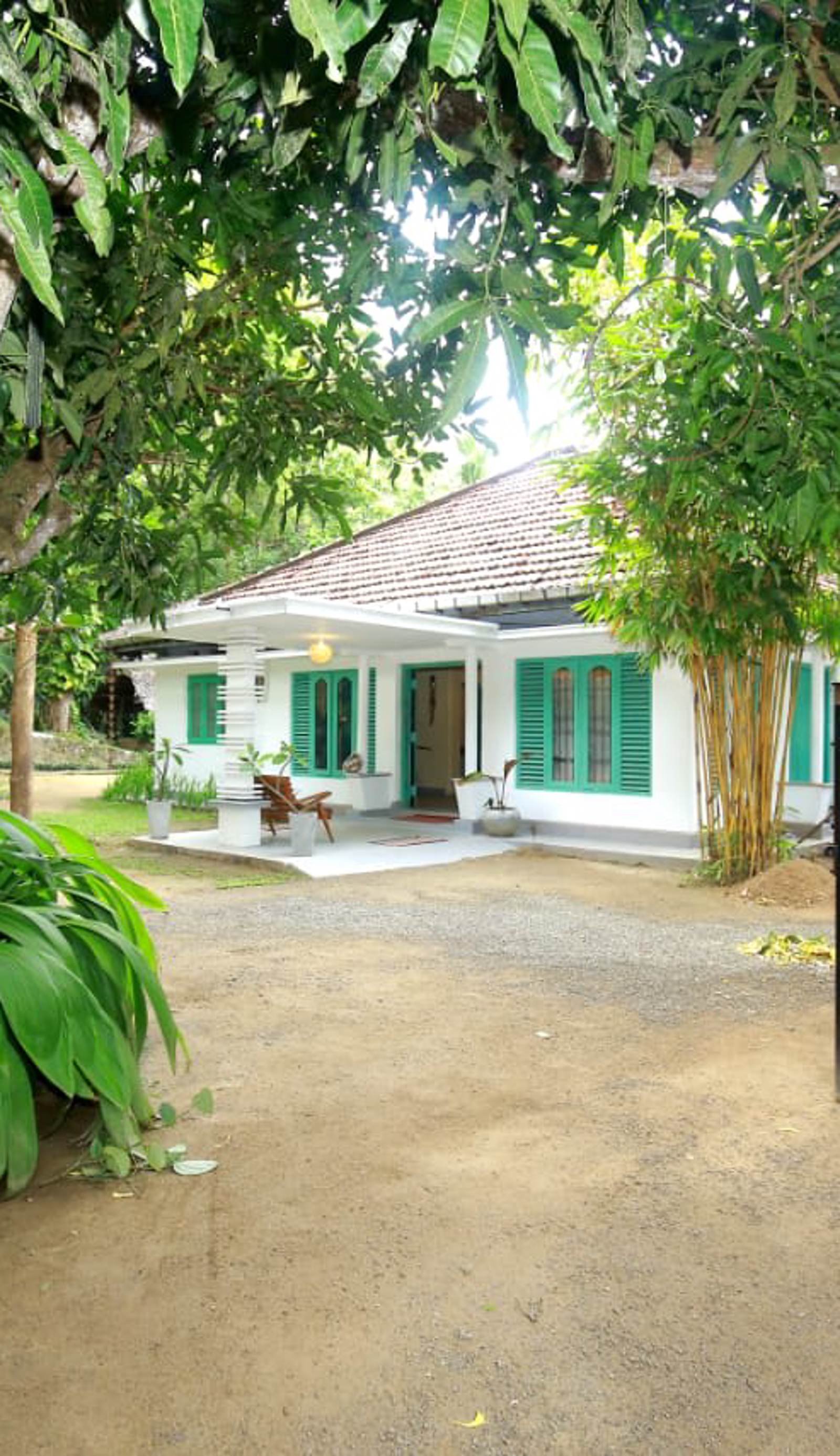 Lazy Monkey Surf Hostel Hiriketiya