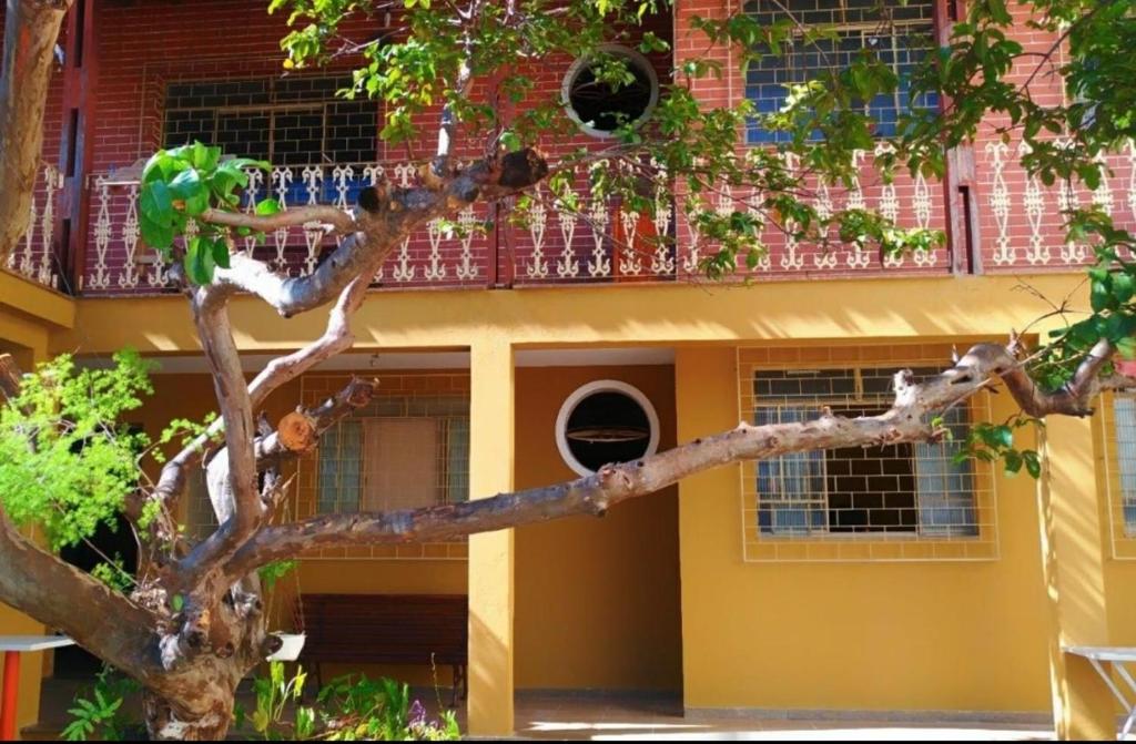 HOSTEL 238