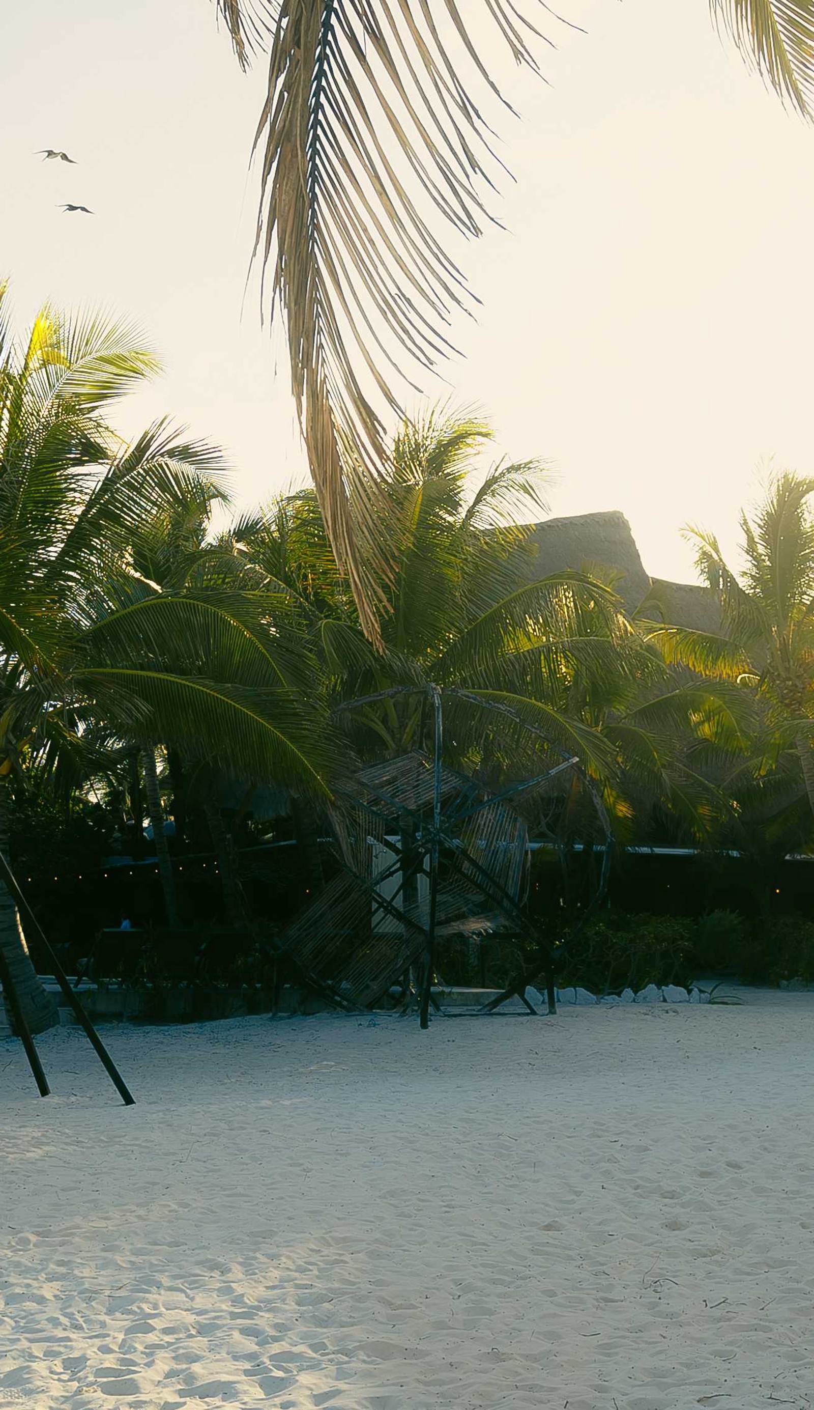 Mia Tulum Tribe