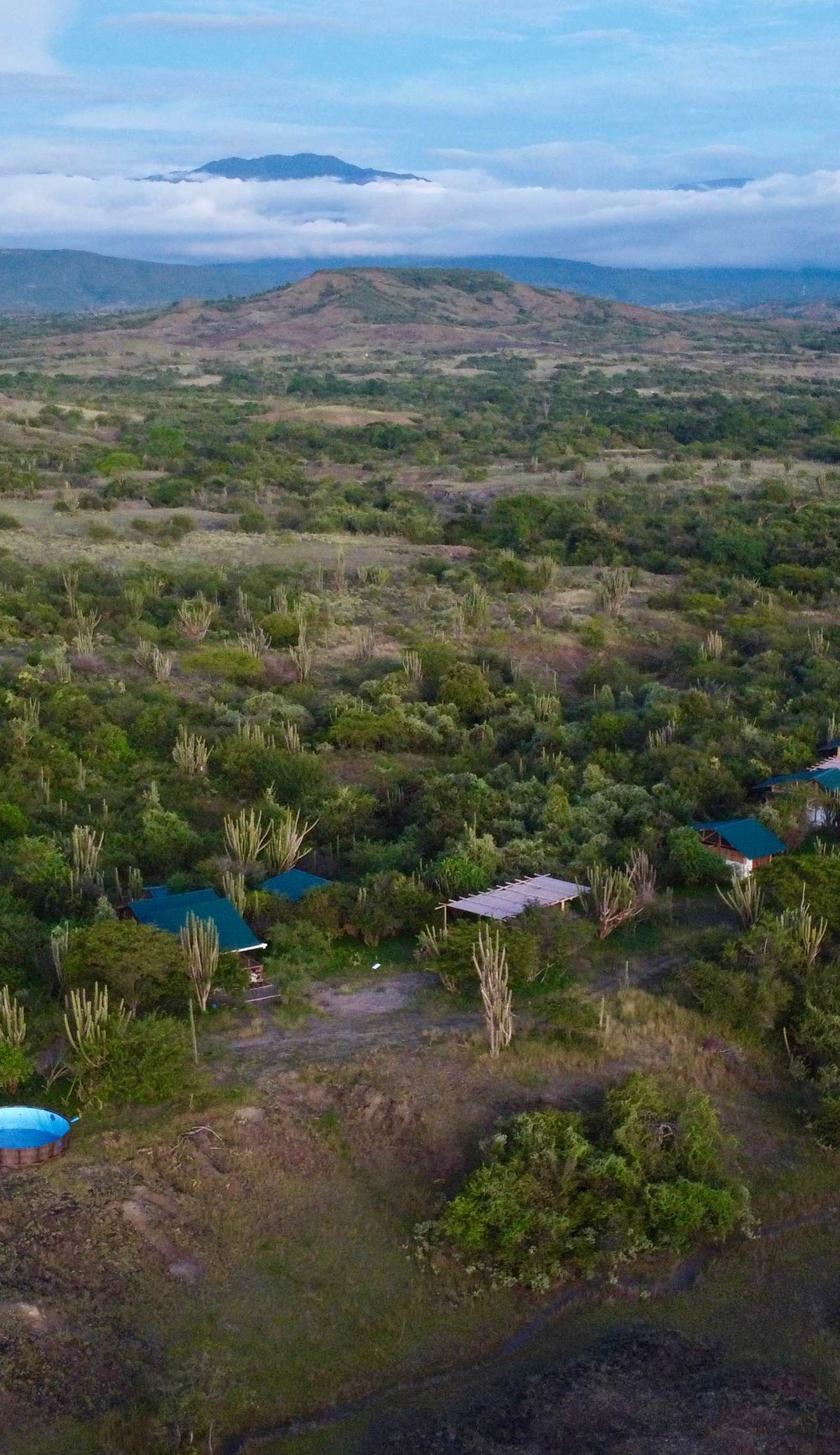 Bosque Seco Bioreserva & Hostel