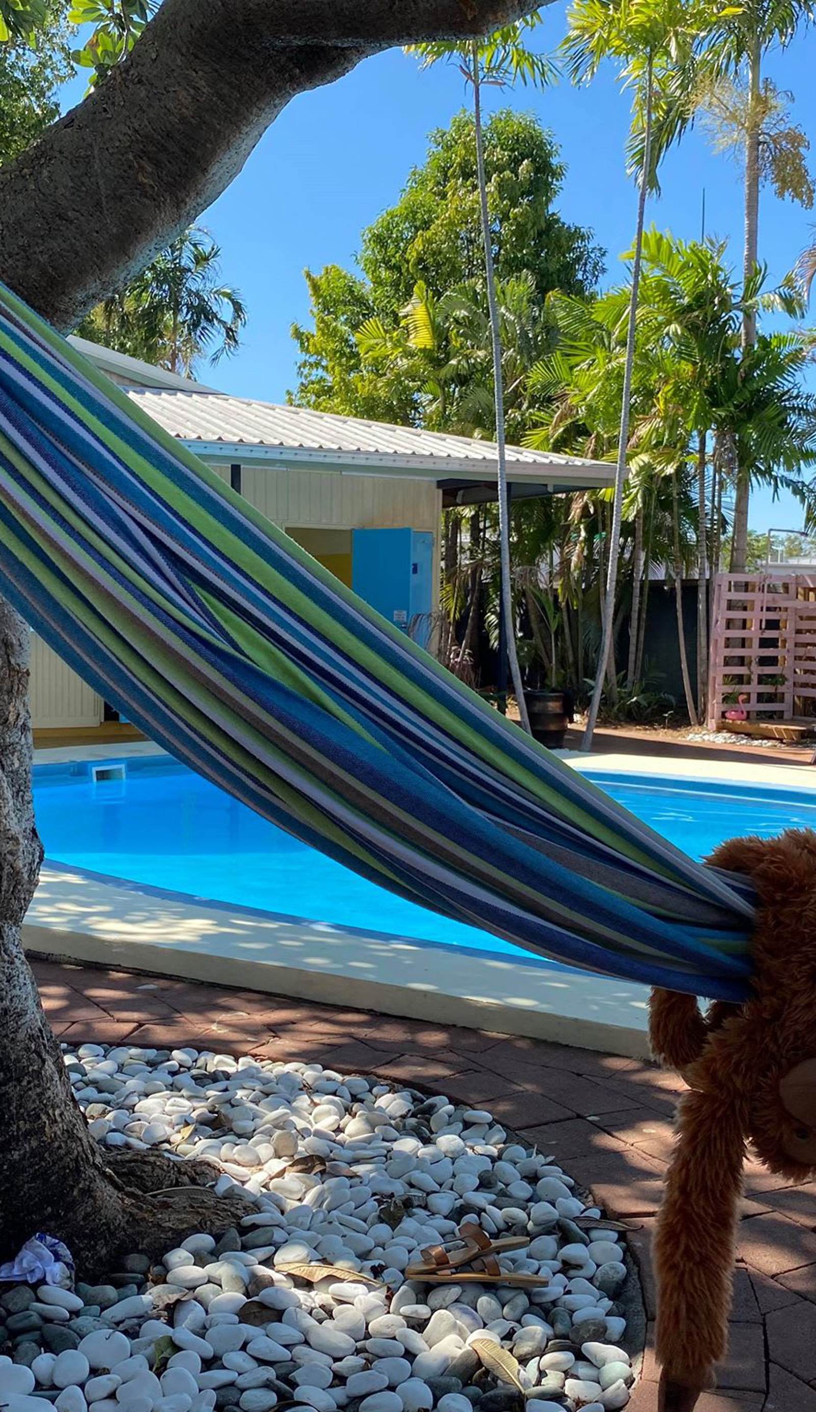 Darwin Hostel