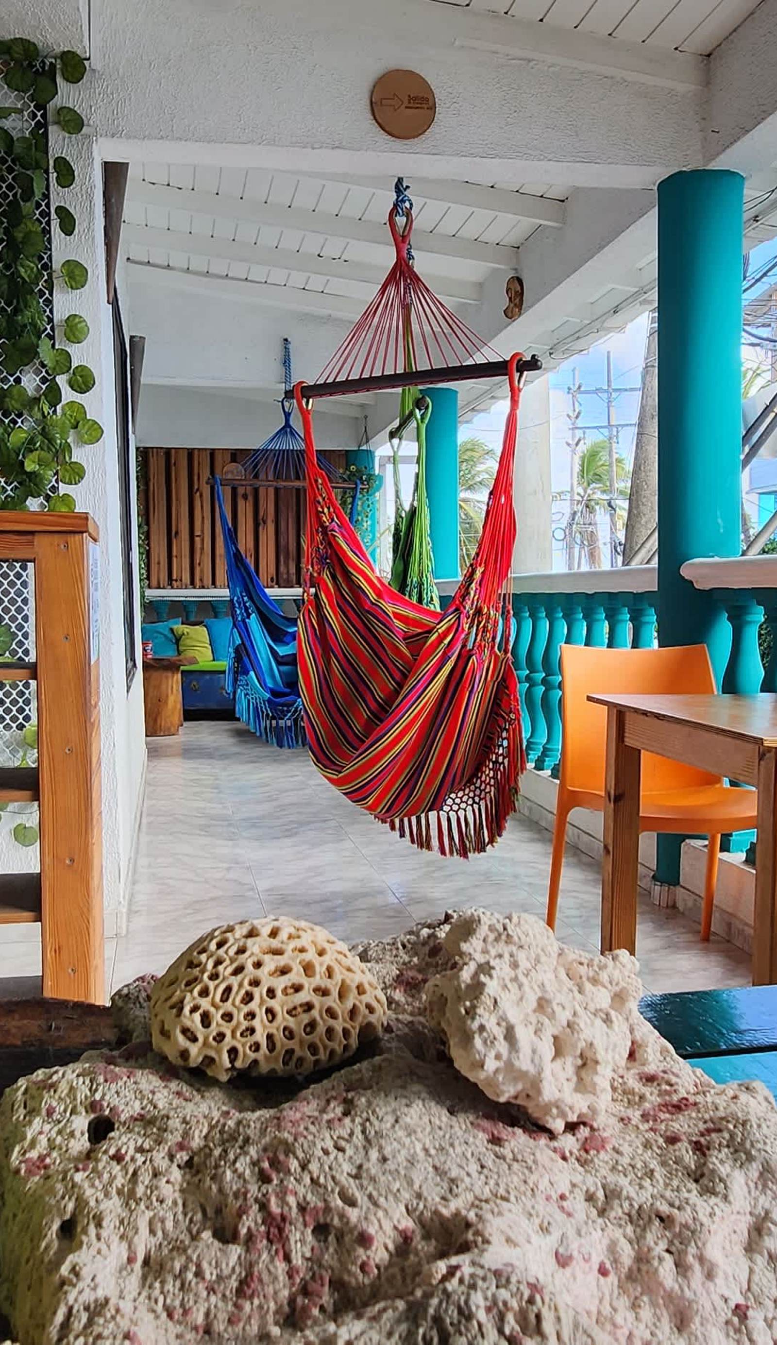 Karibbik Haus Hostel