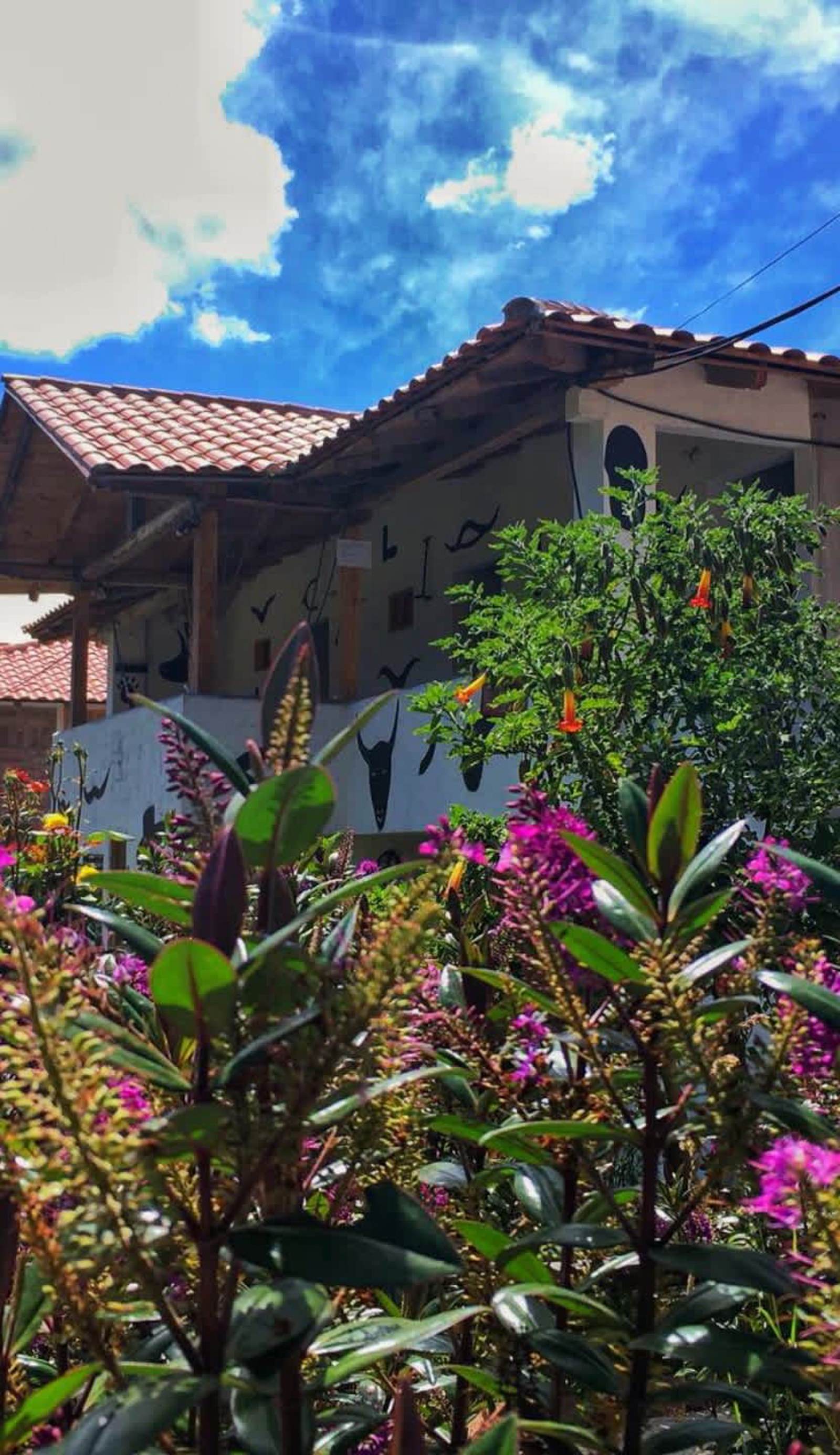 Hostel el Vaquero