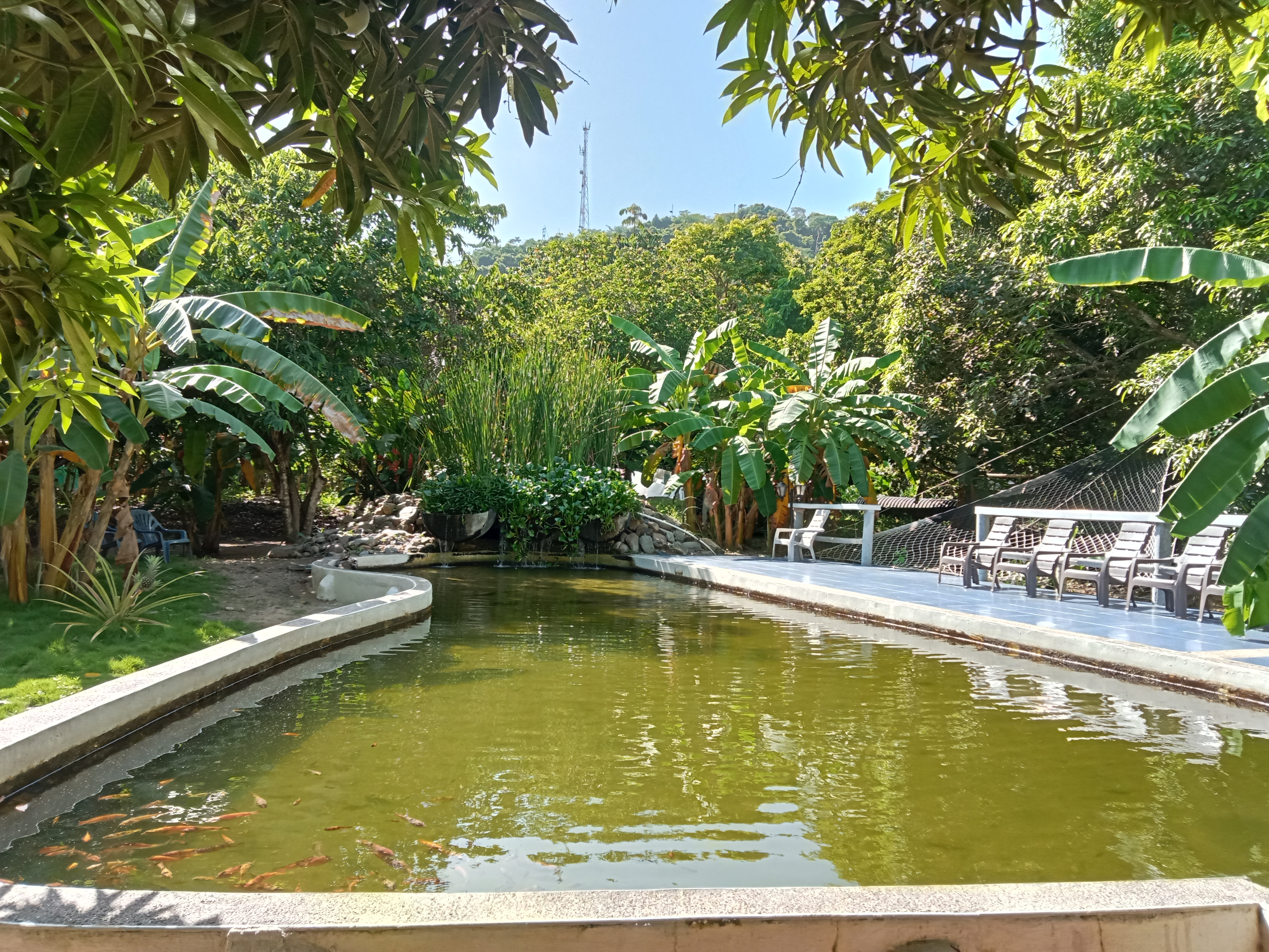 Finca Los Mangos Palomino