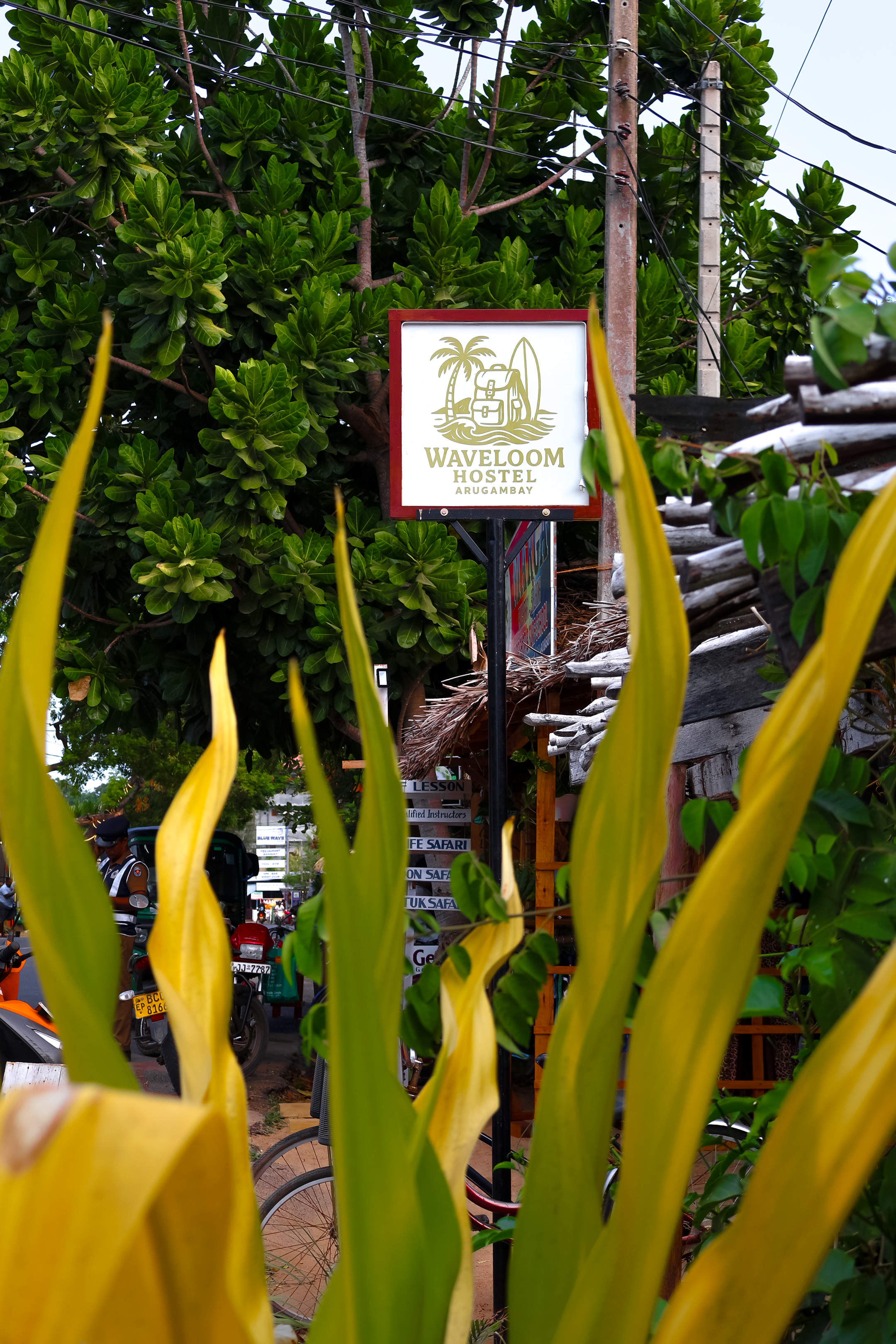 Wave Loom Hostel