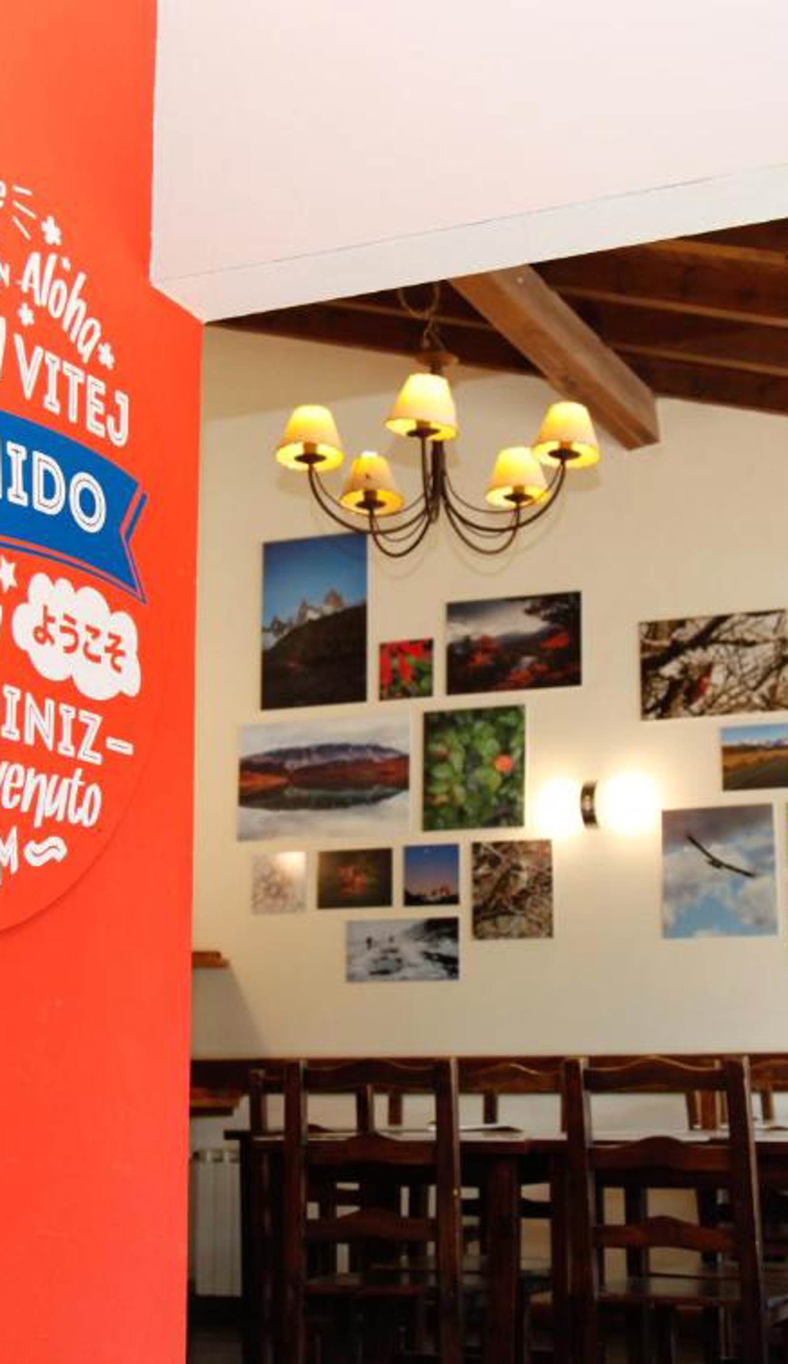 Condor de los Andes