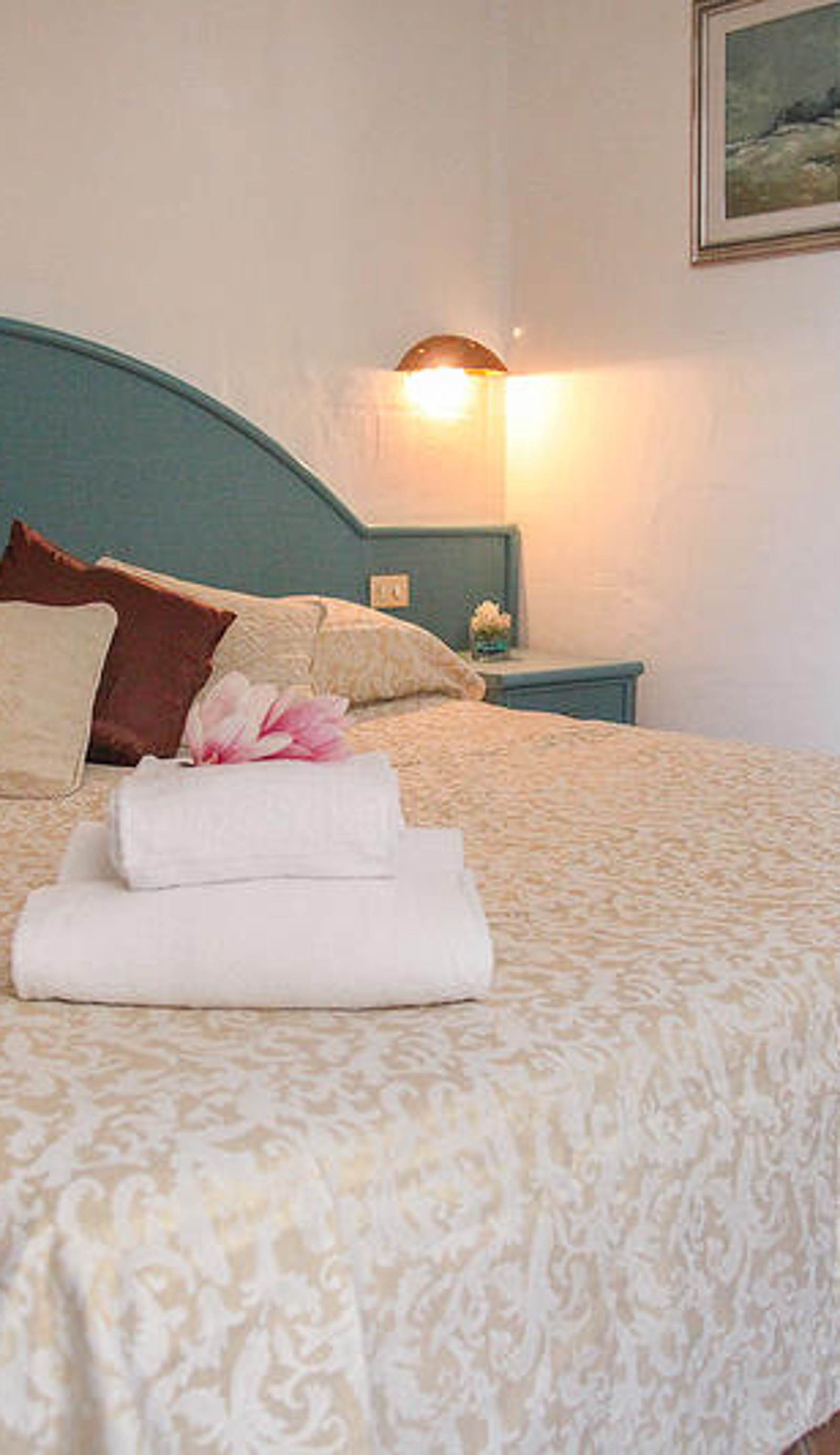 Hotel Micalosu