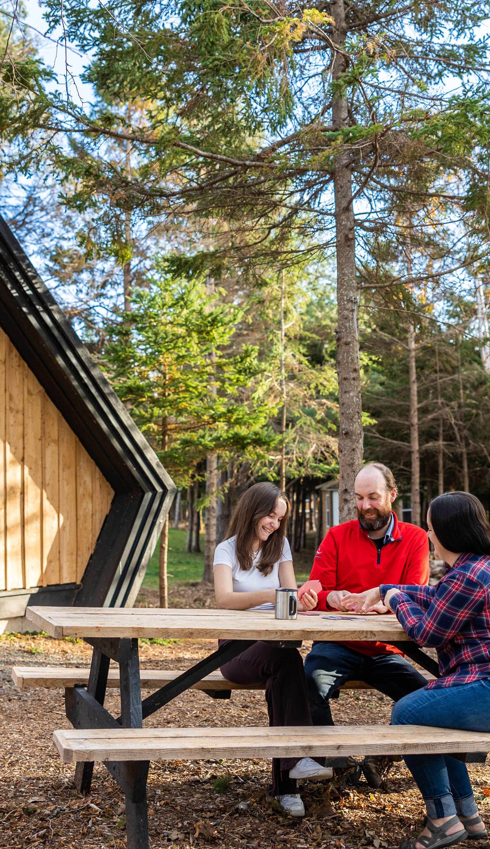 Wild Pines Cabins