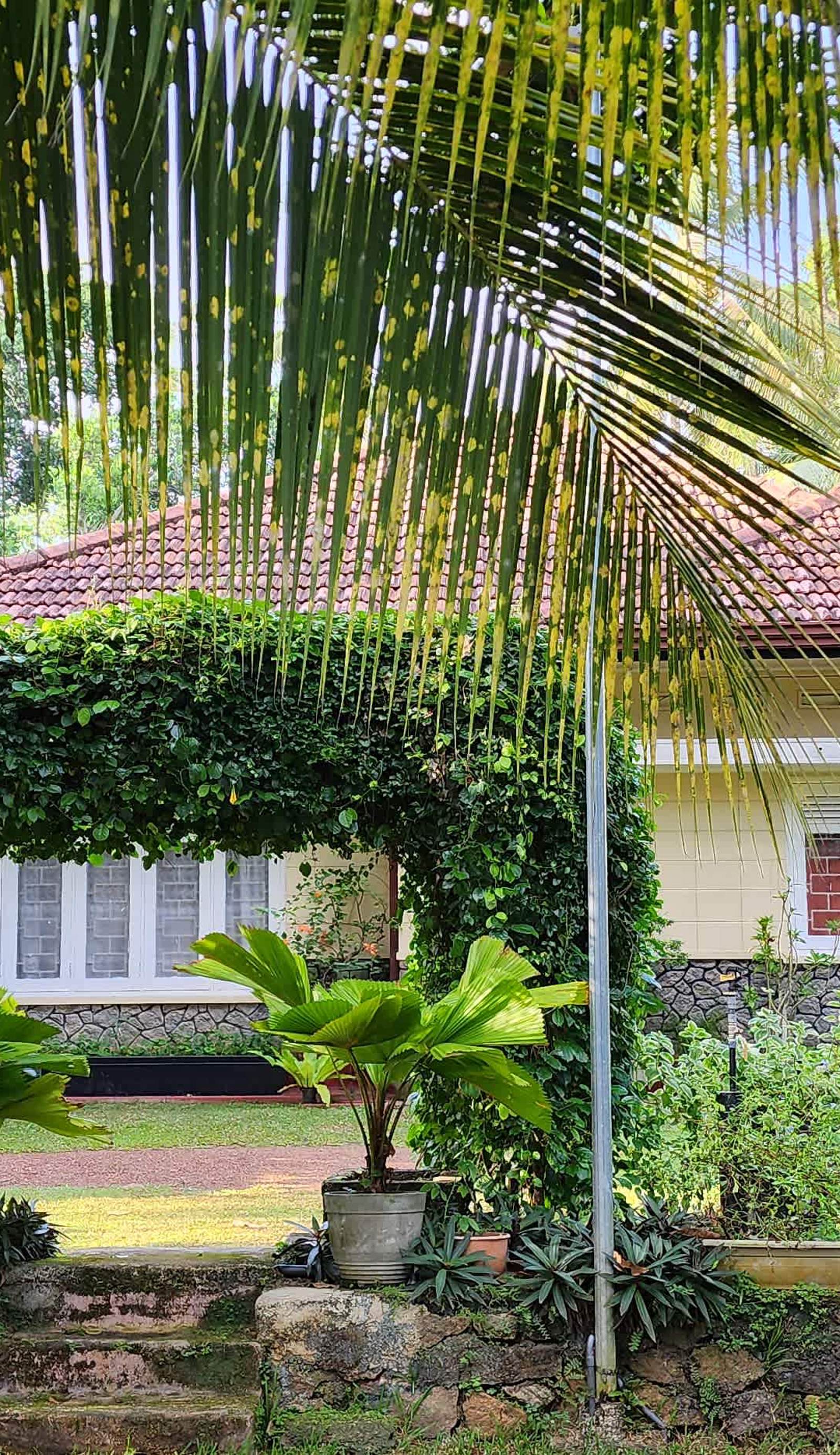 CHARAKAMA Guest Bungalow