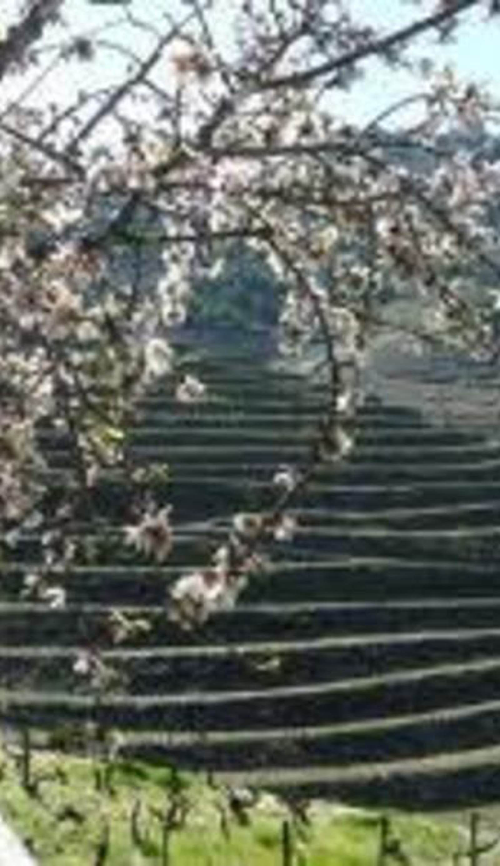 Hotel Douro Inn