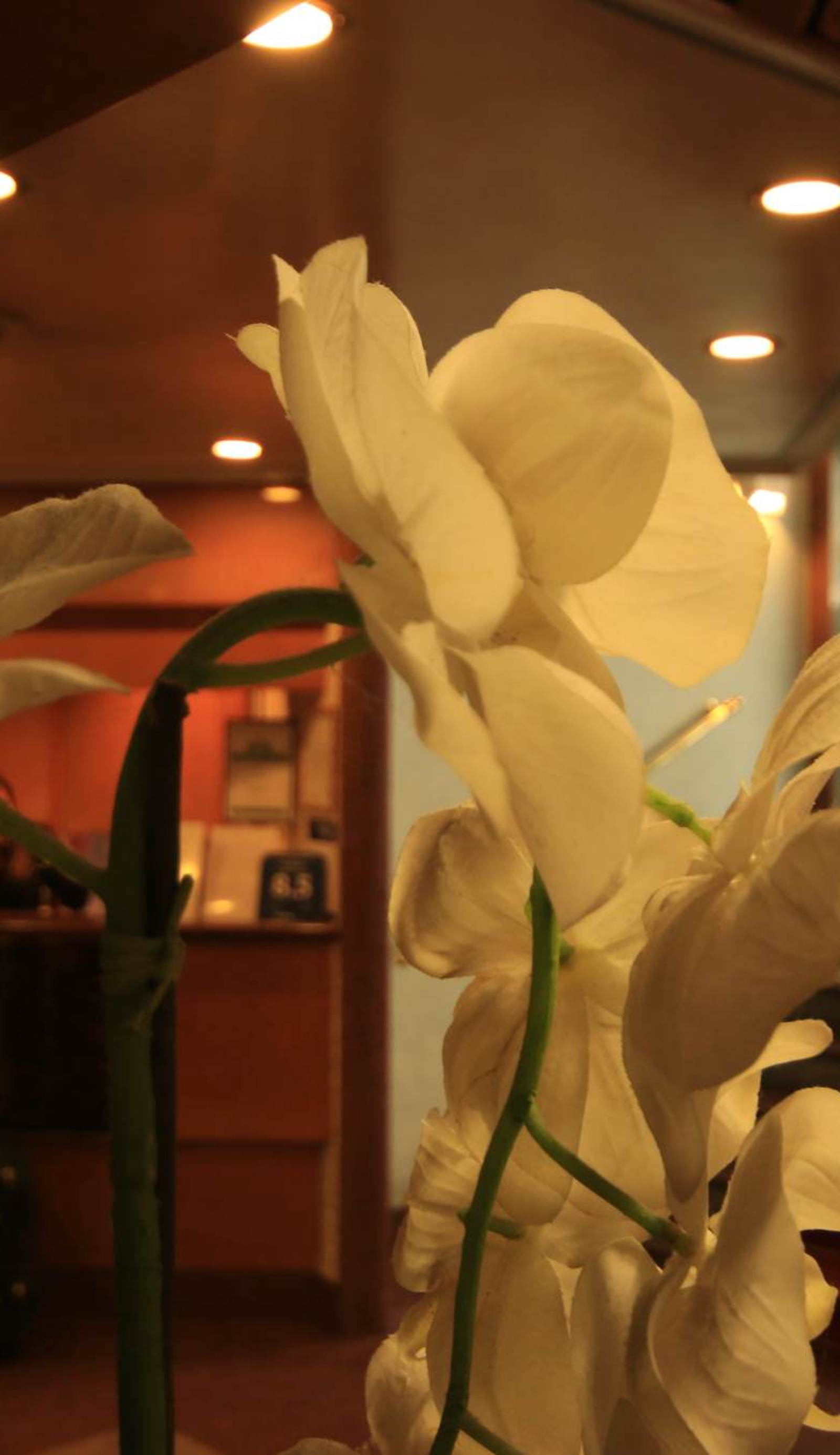 Hotel Lido Milano