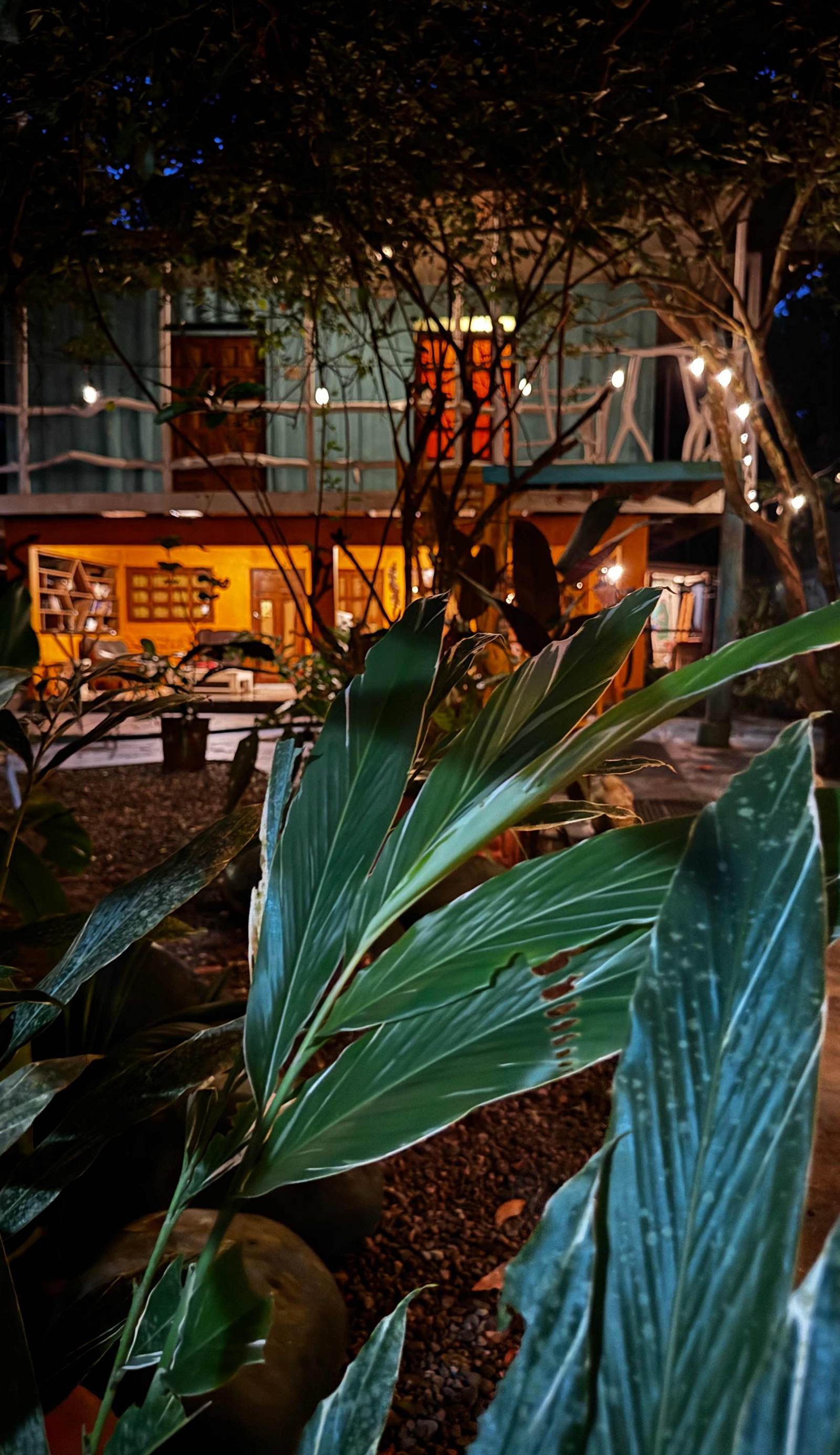 Madre Selva Hostel