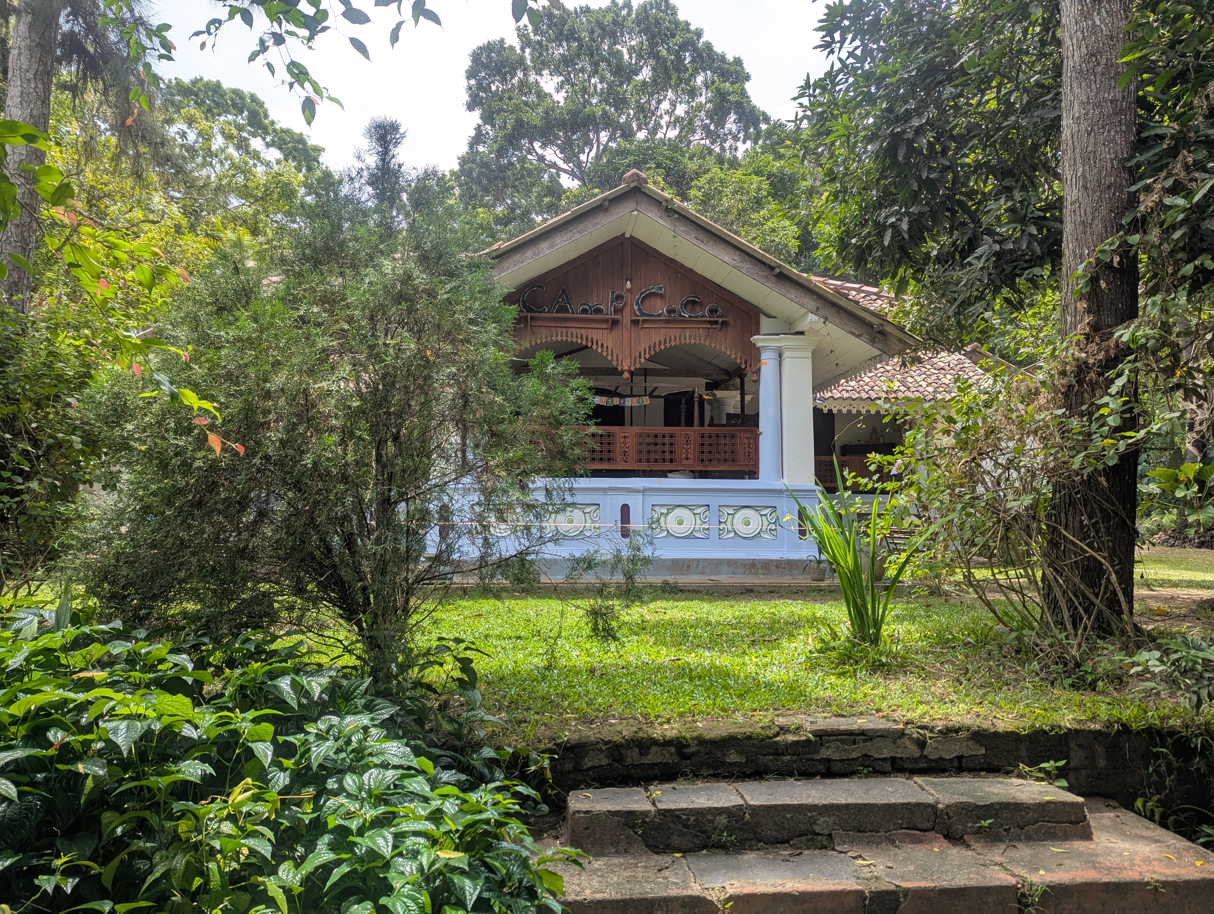 Camp Coconut