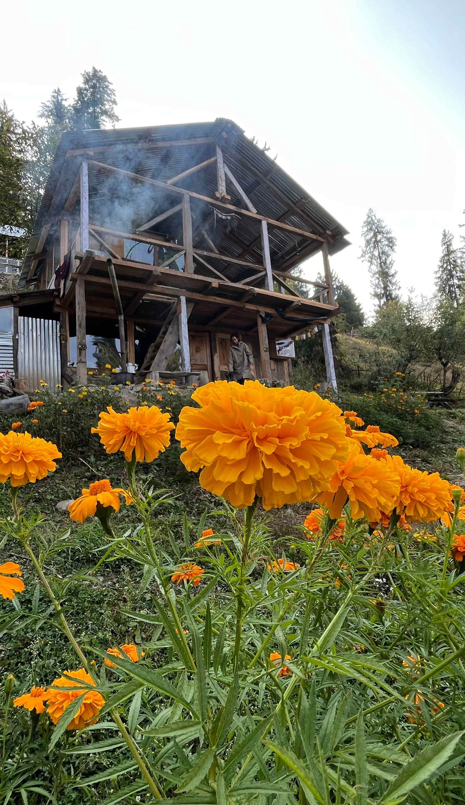 Dharma Chakra
